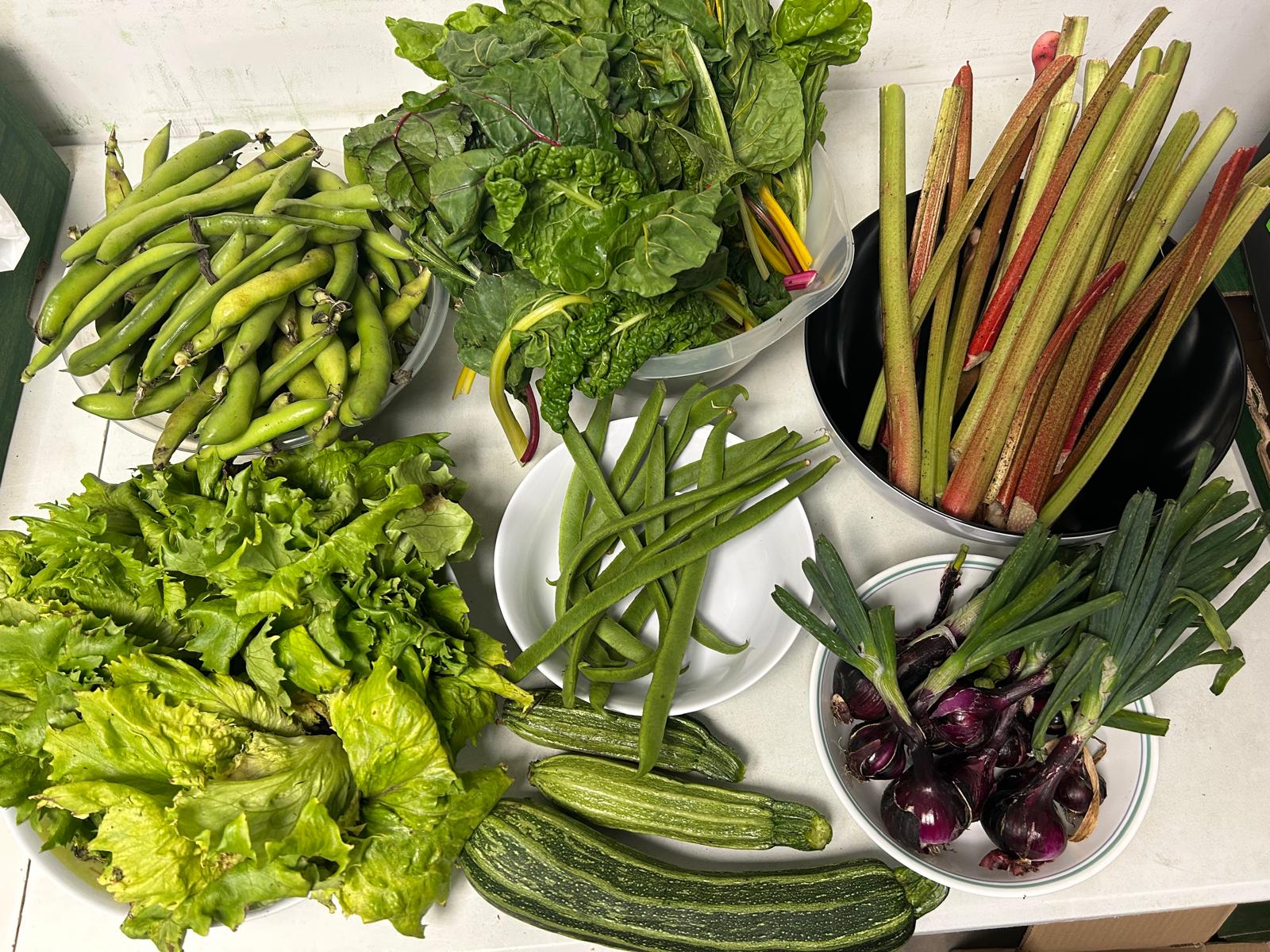 The Trussell Trust Food Bank
