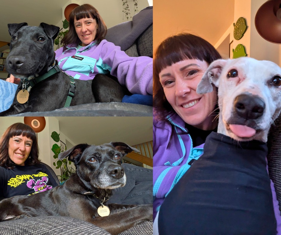 The Cotswolds Dogs & Cats Cirencester Clothes