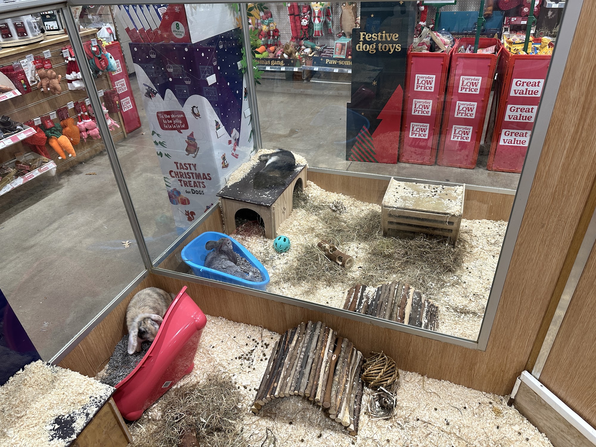 Pets at Home Bristol Filton