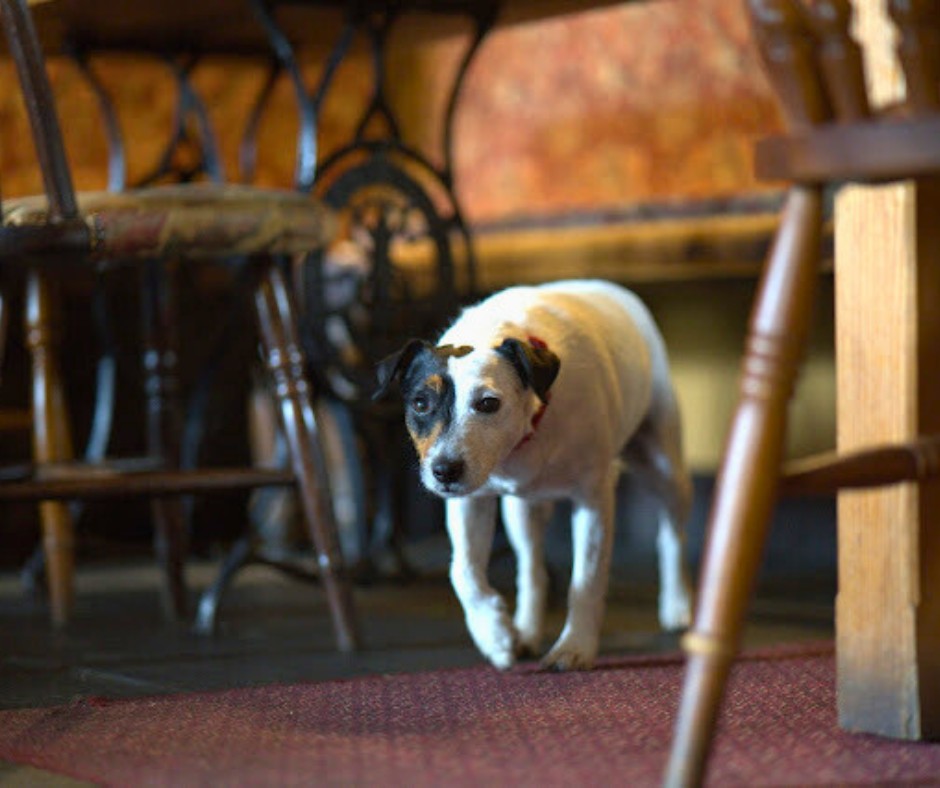 The Bell Inn
