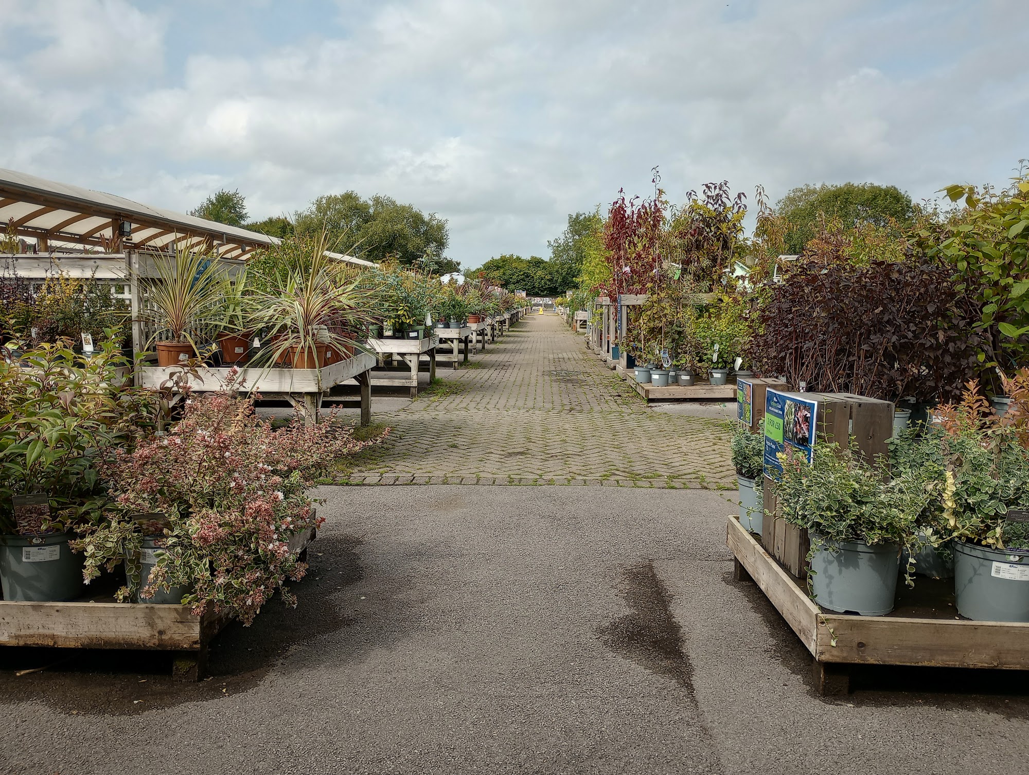 Hillier Garden Centre Lechlade