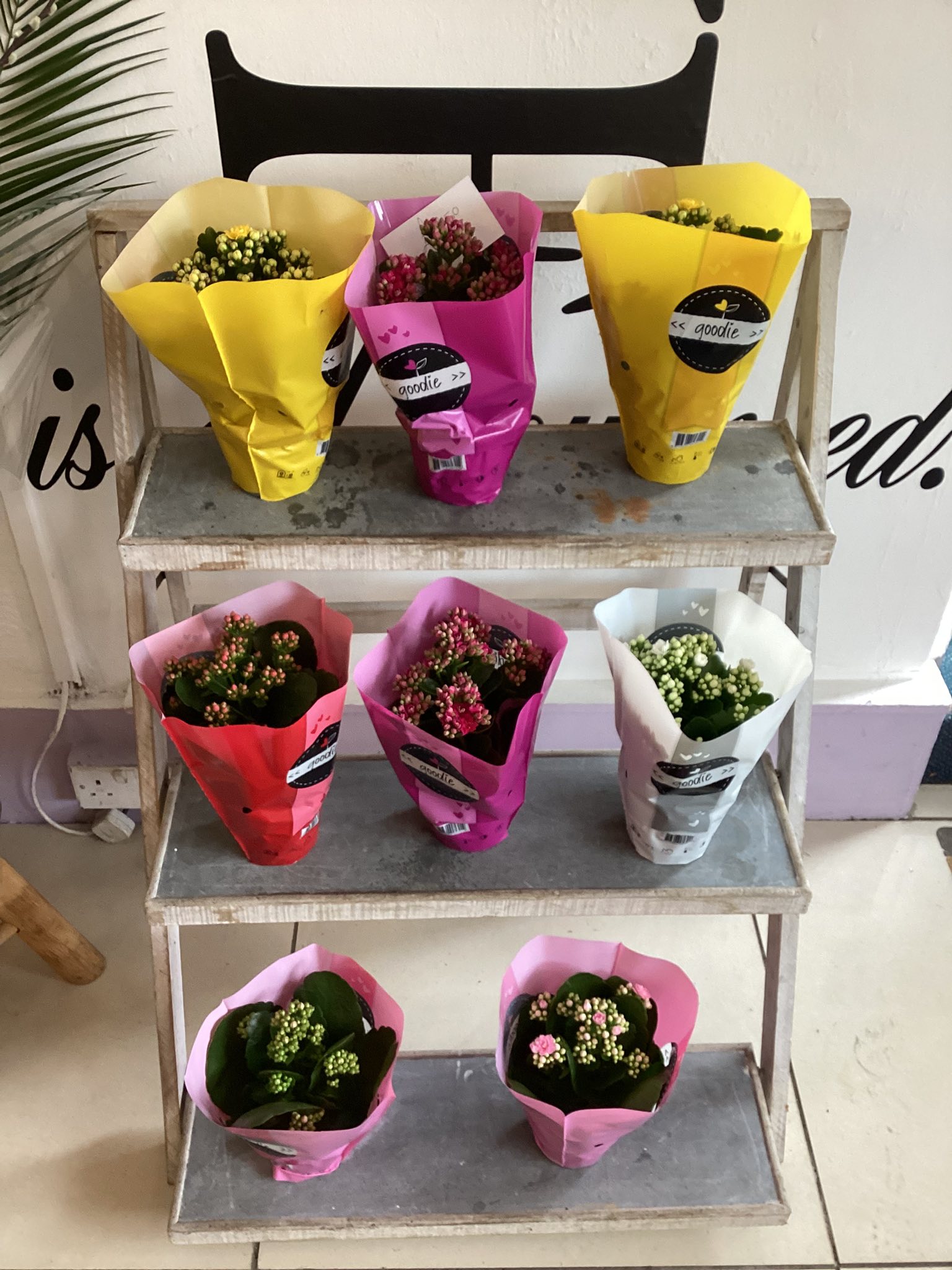 Victoria Westlake Florist