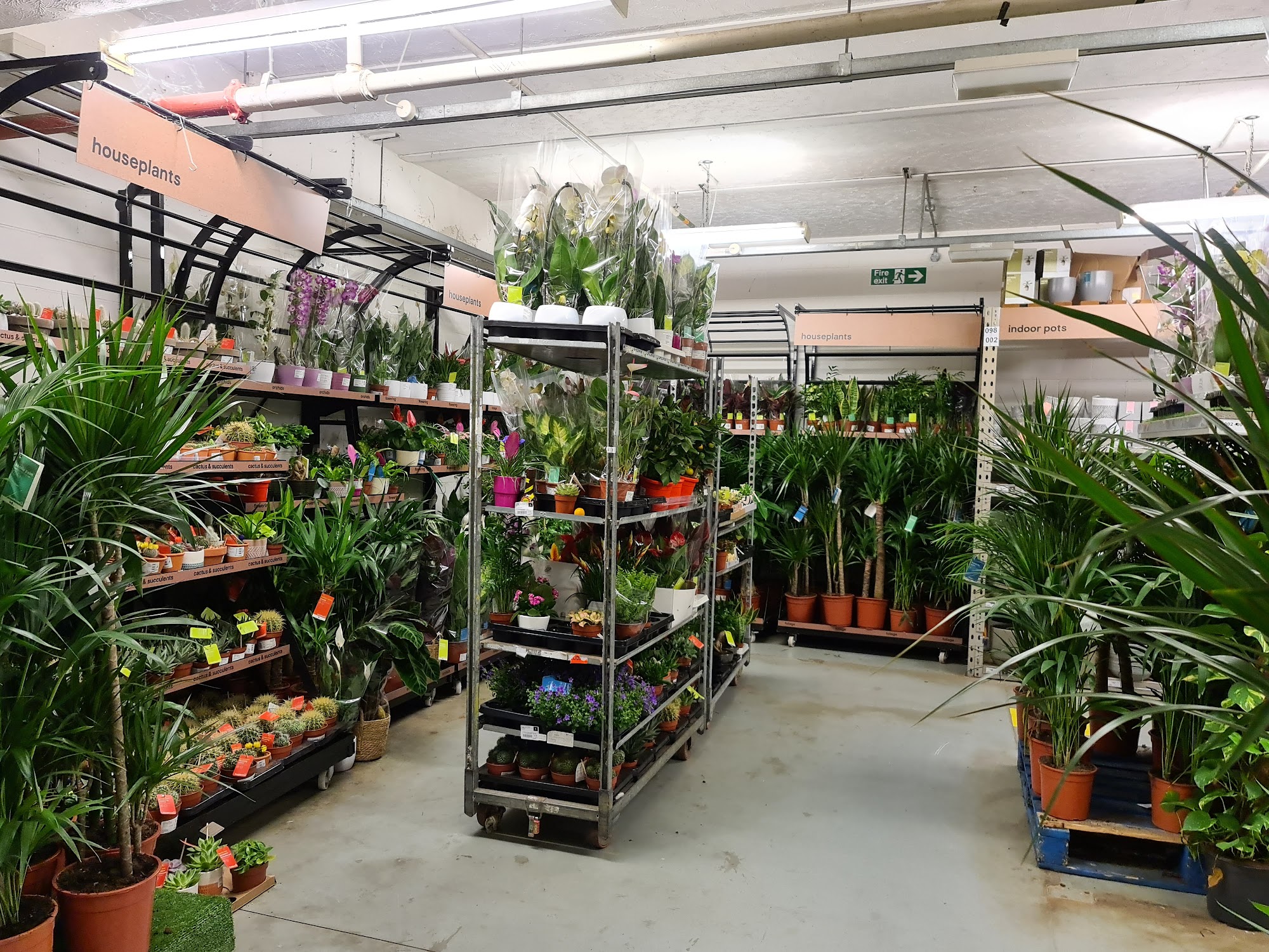 B&Q Peckham Bermondsey, Borough, Southwark and Waterloo