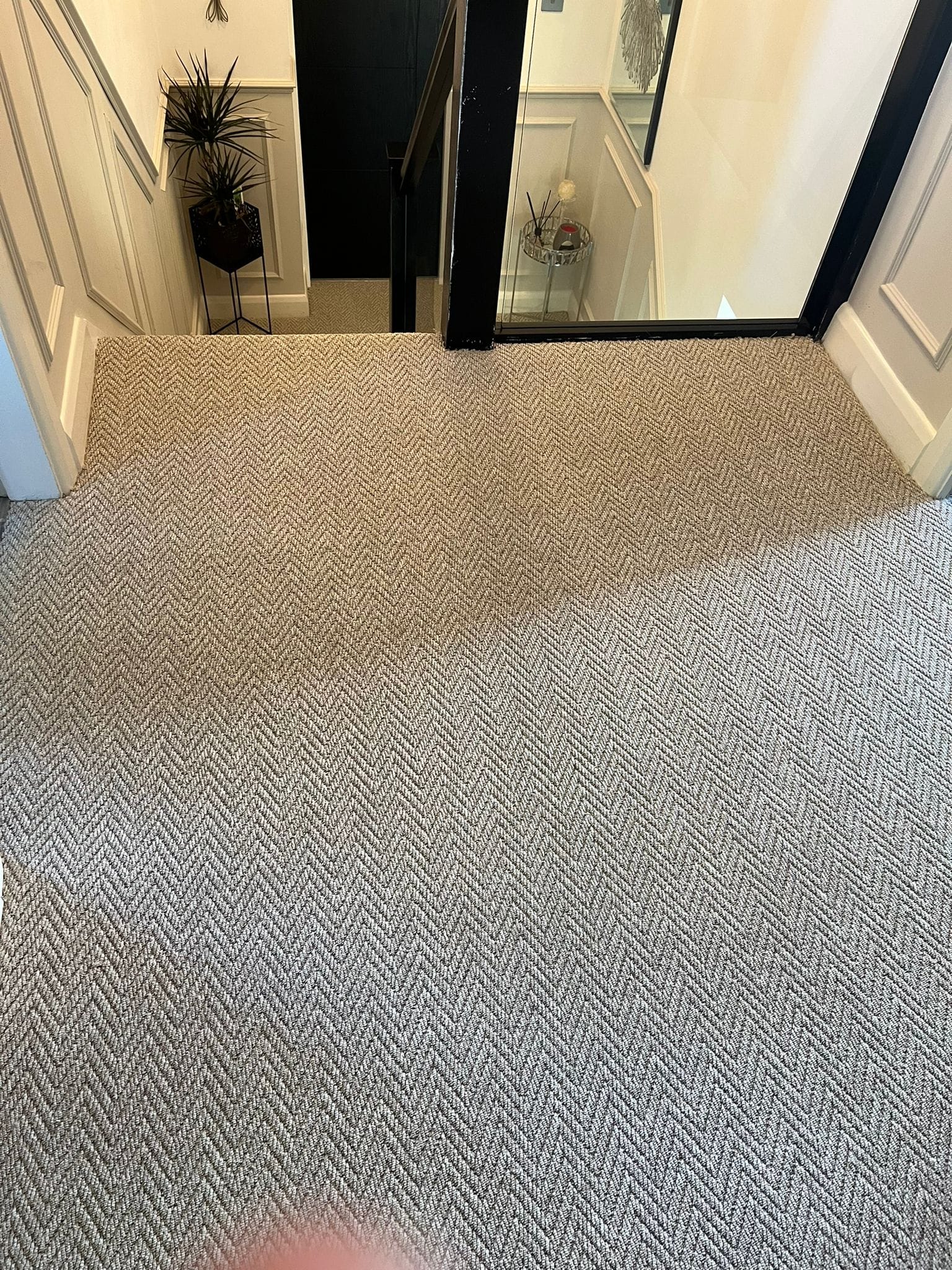 NewBold Carpets