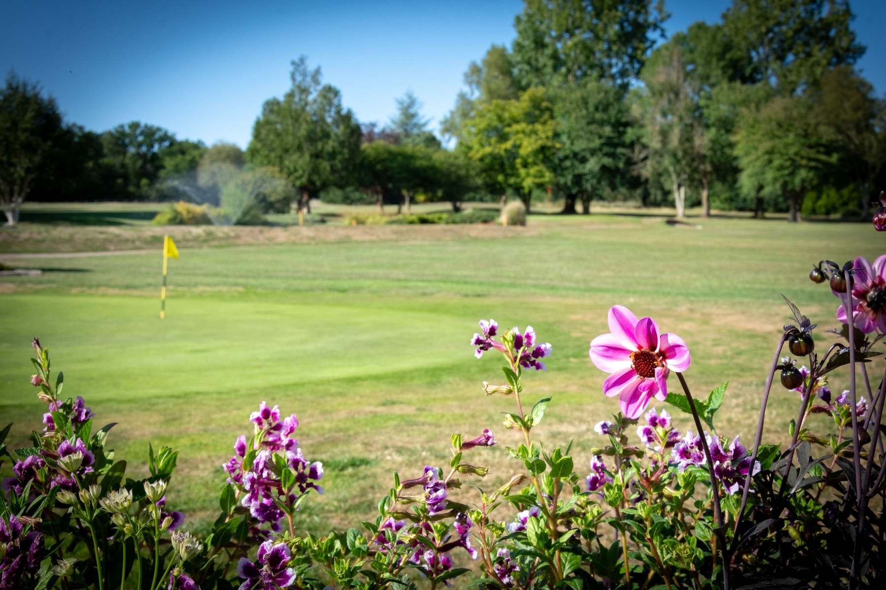 Bishopswood Golf Course