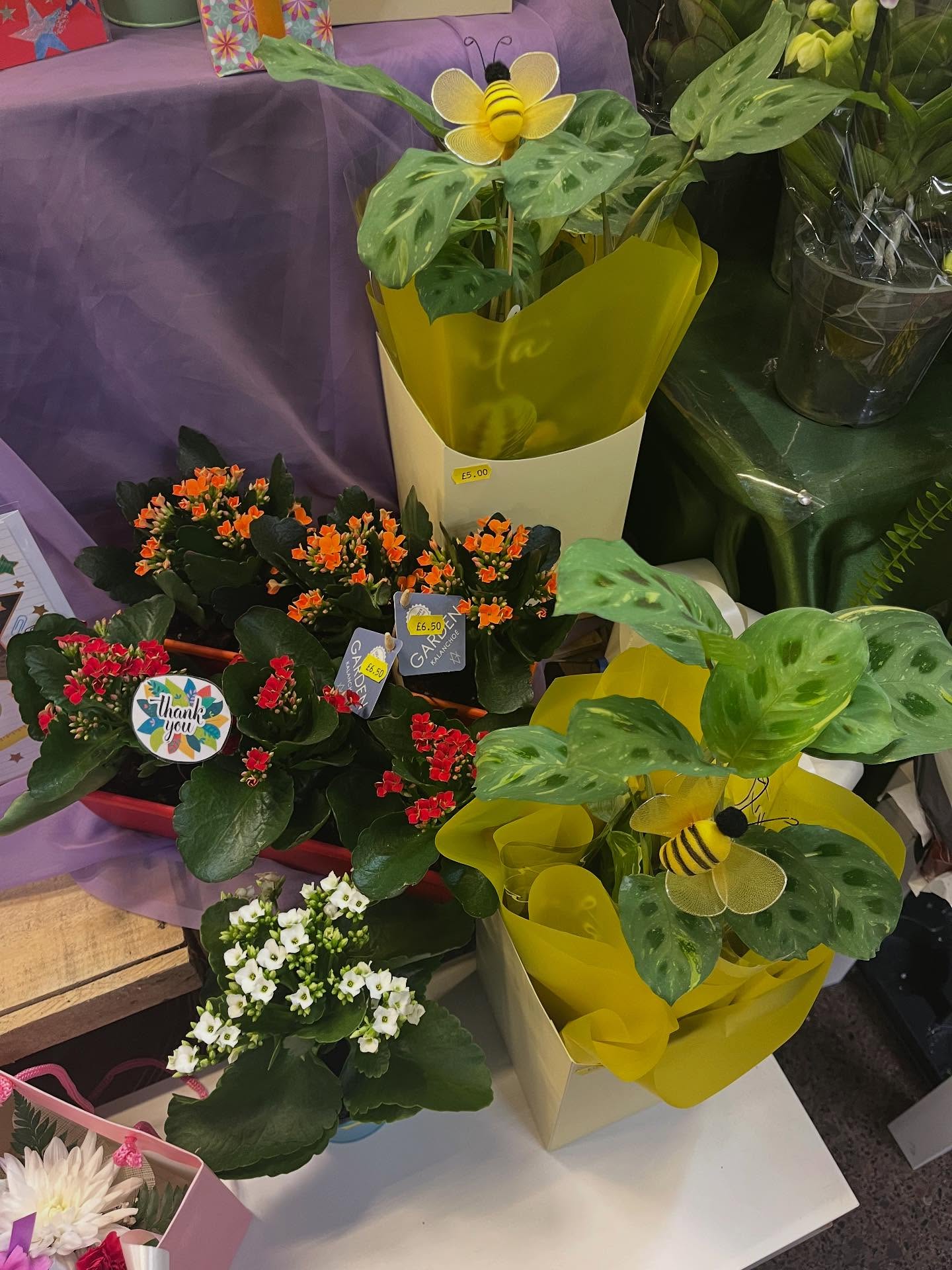 Hillmans Florist