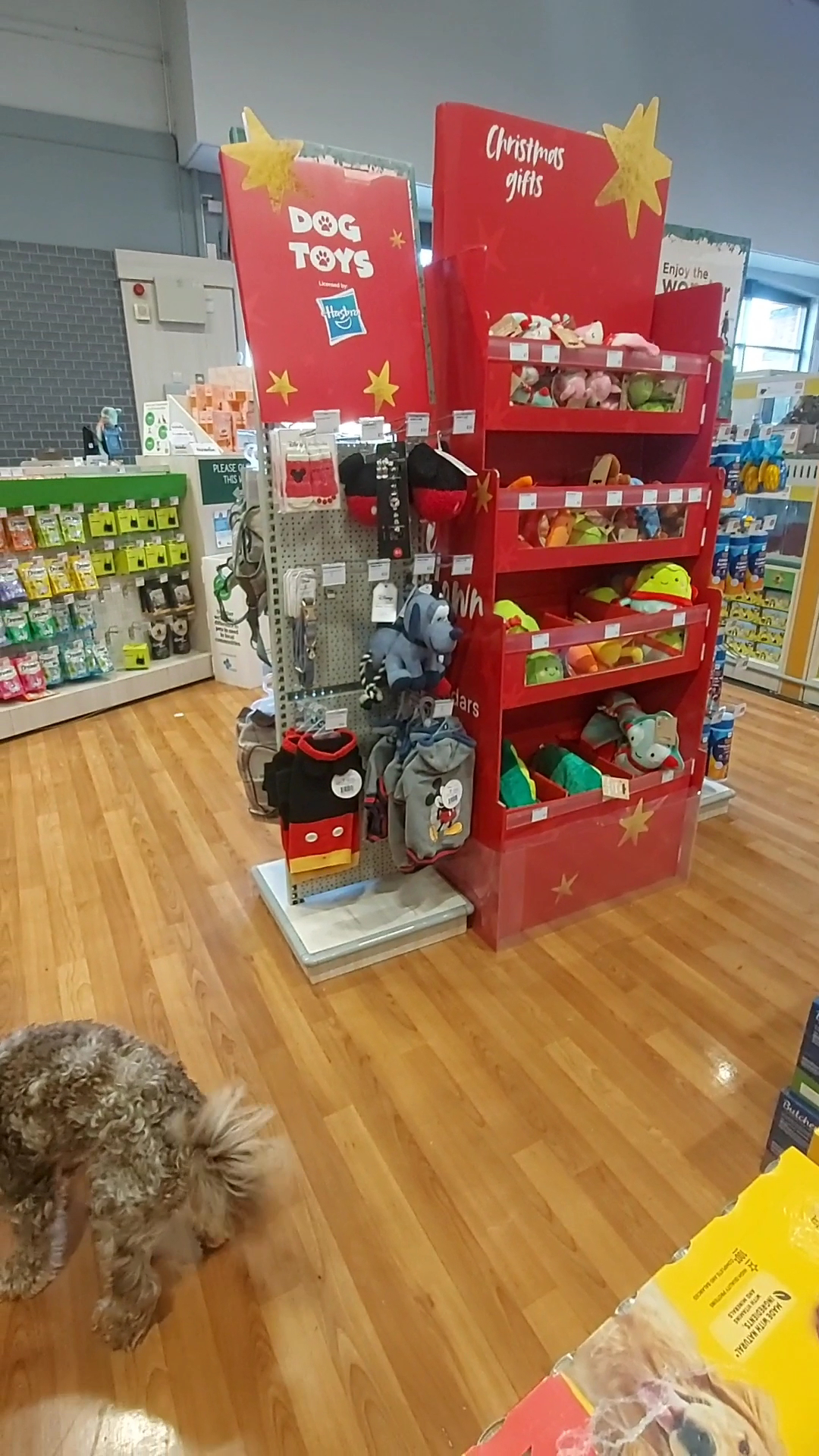 Pets at Home Hemel Hempstead