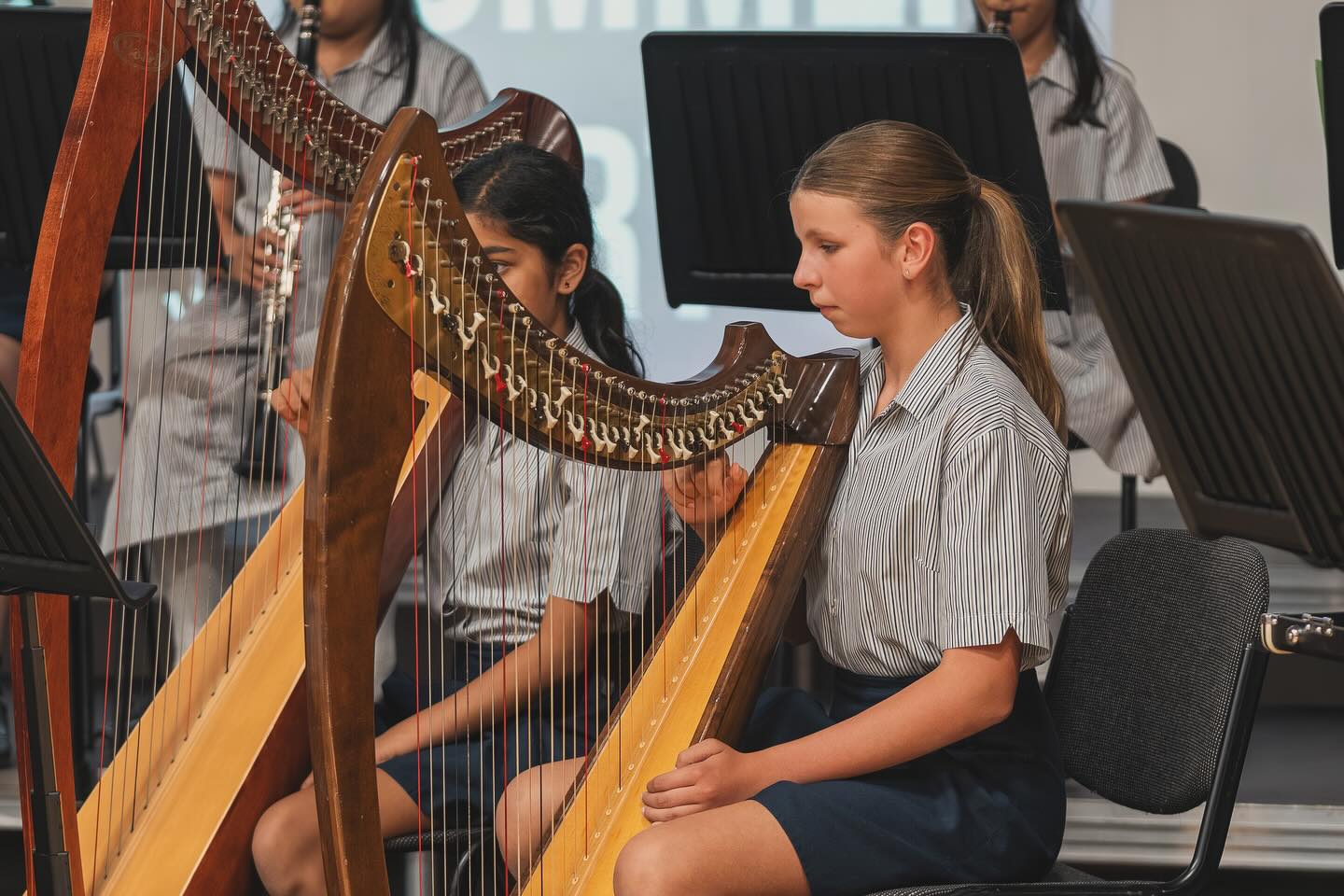 St Albans High School For Girls