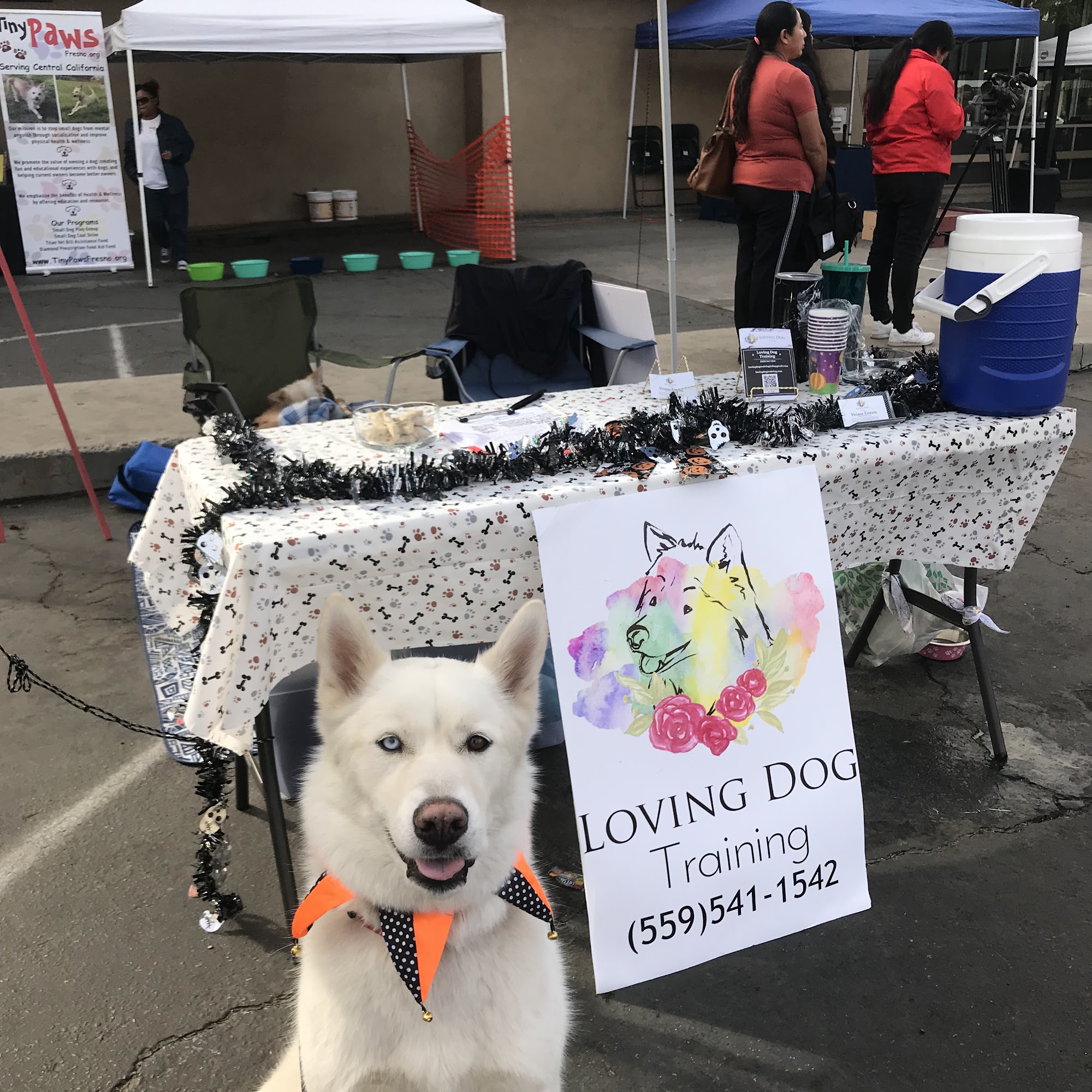 Loving Dog Training Aiea