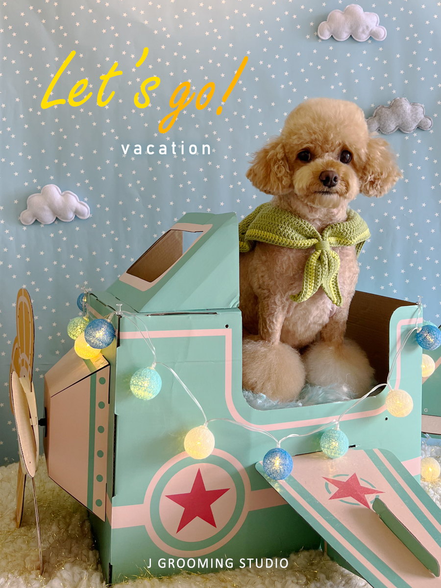 J grooming studio Ewa Beach