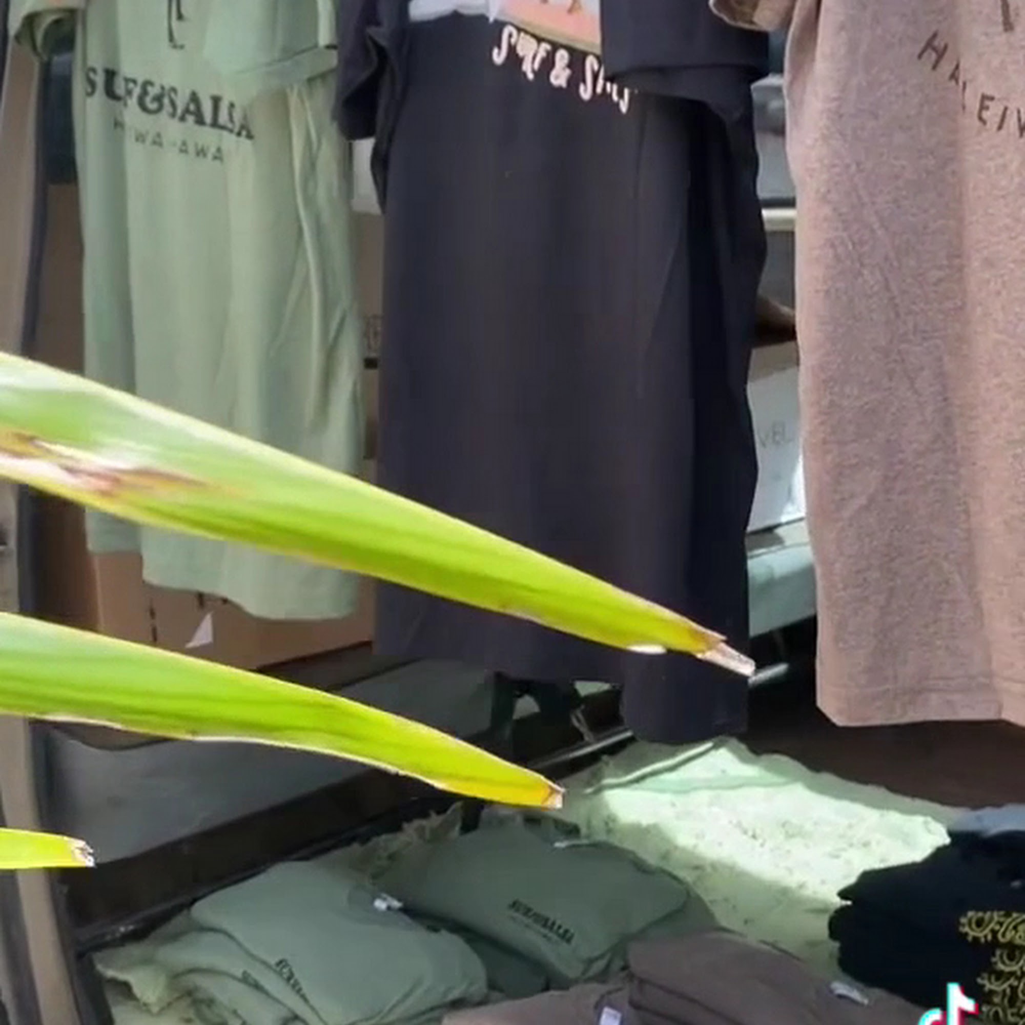 Surf N Salsa Haleiwa