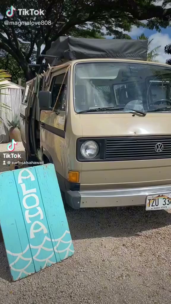 Surf N Salsa Haleiwa