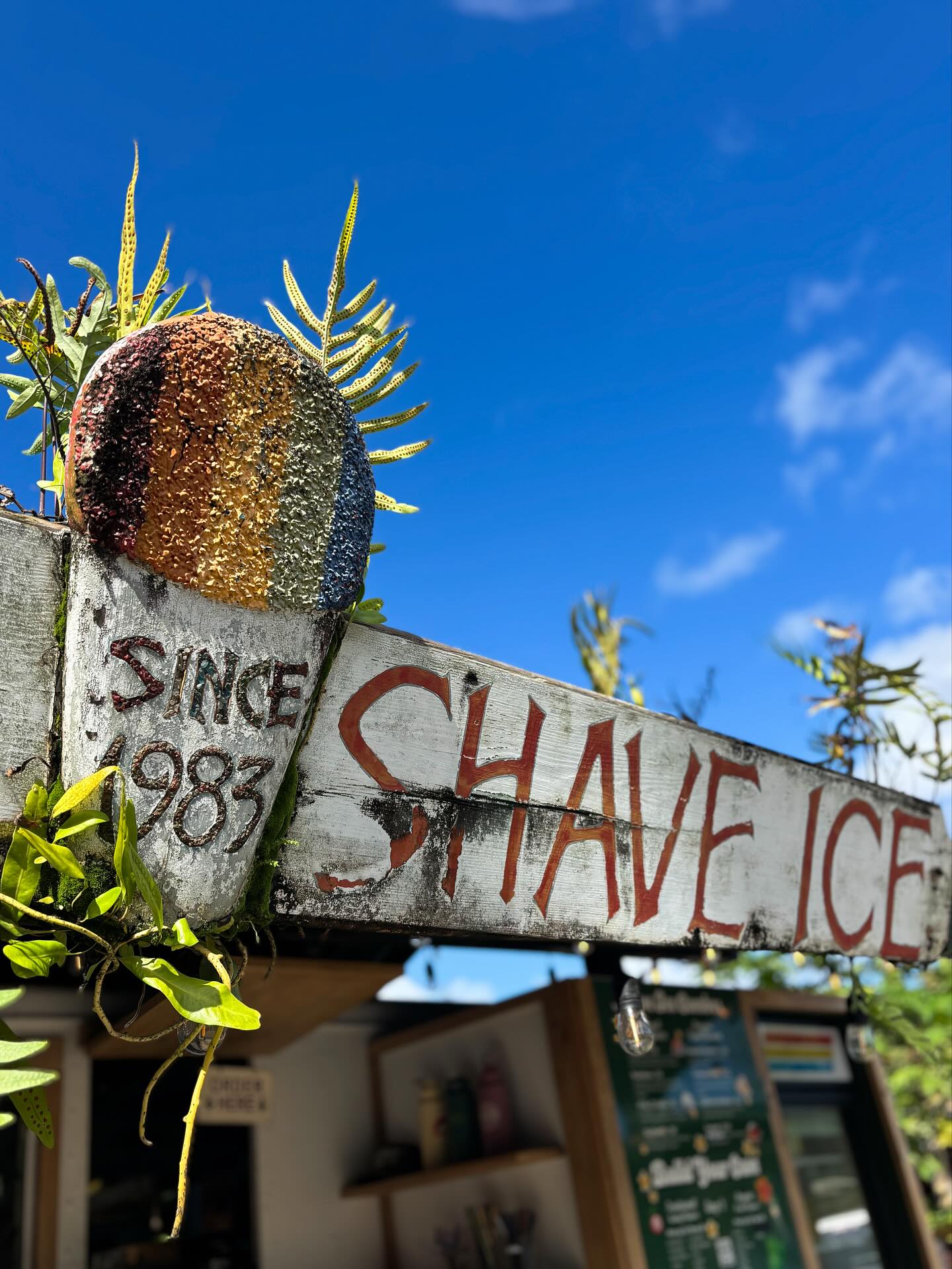 Wishing Well Shave Ice Hanalei