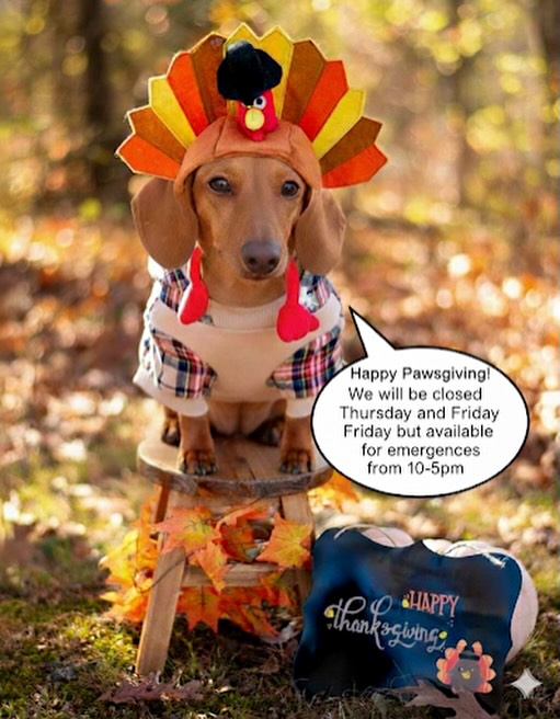 Aloha Veterinary Center Hilo