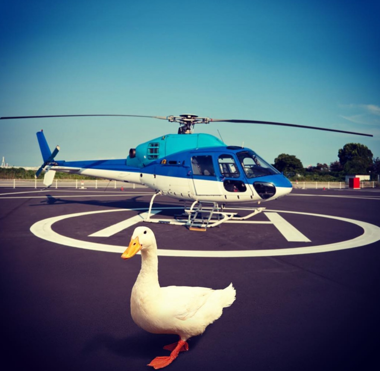 Aflac