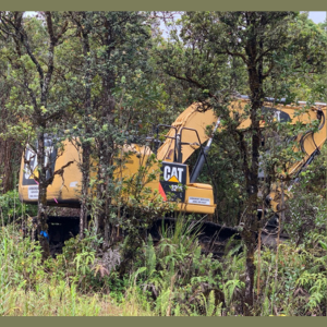 Arborist Services, LLC - Hawaii