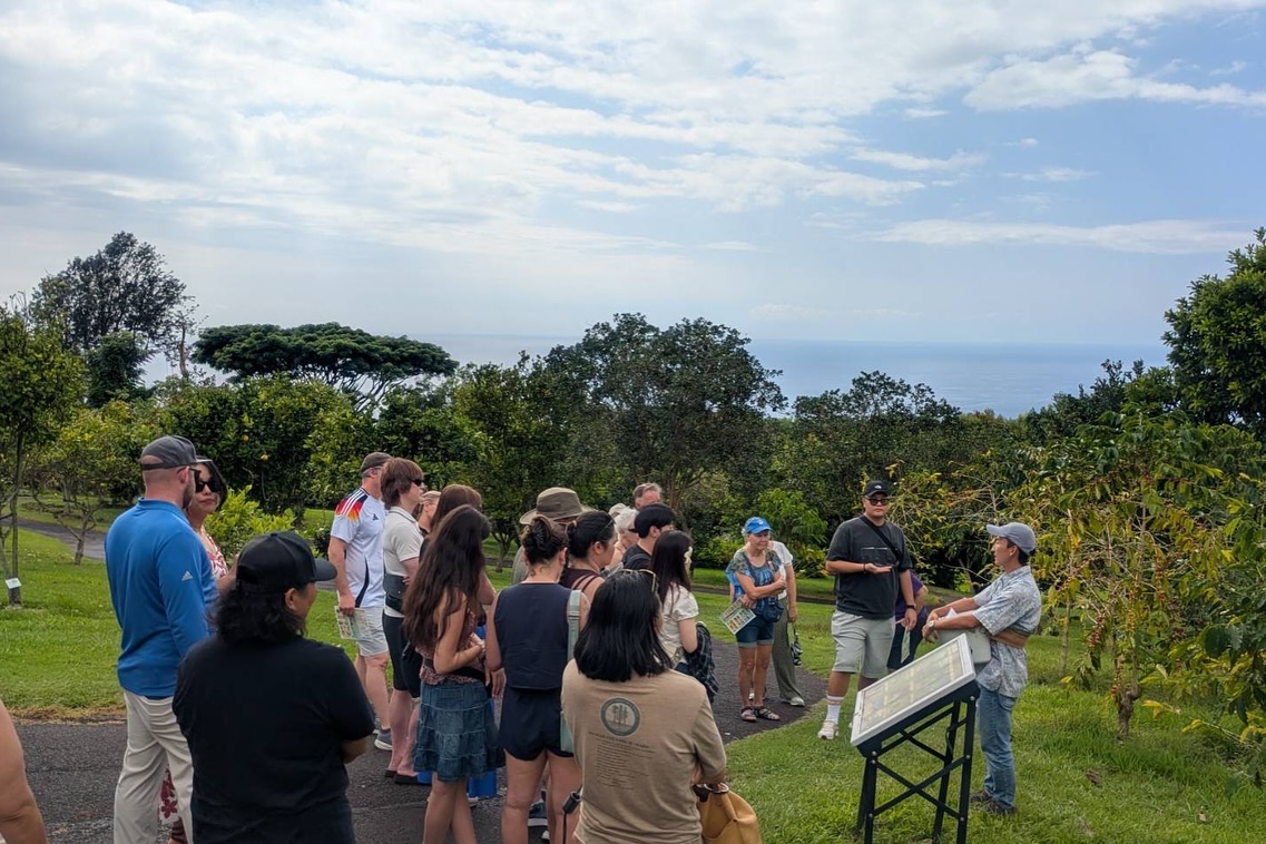 Mauka Meadows Coffee Farm Holualoa