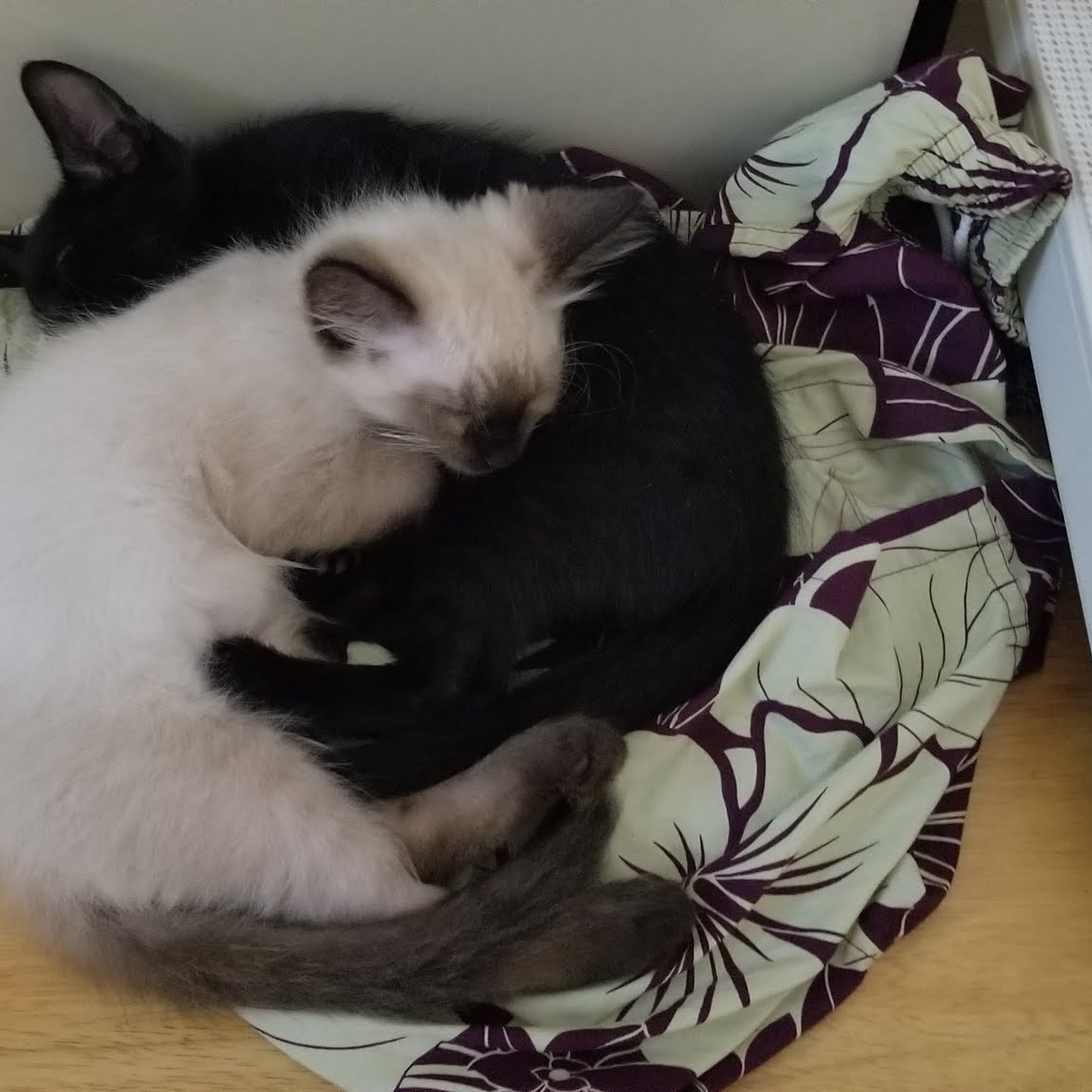 Ohana Veterinary Hospital Inc Honolulu