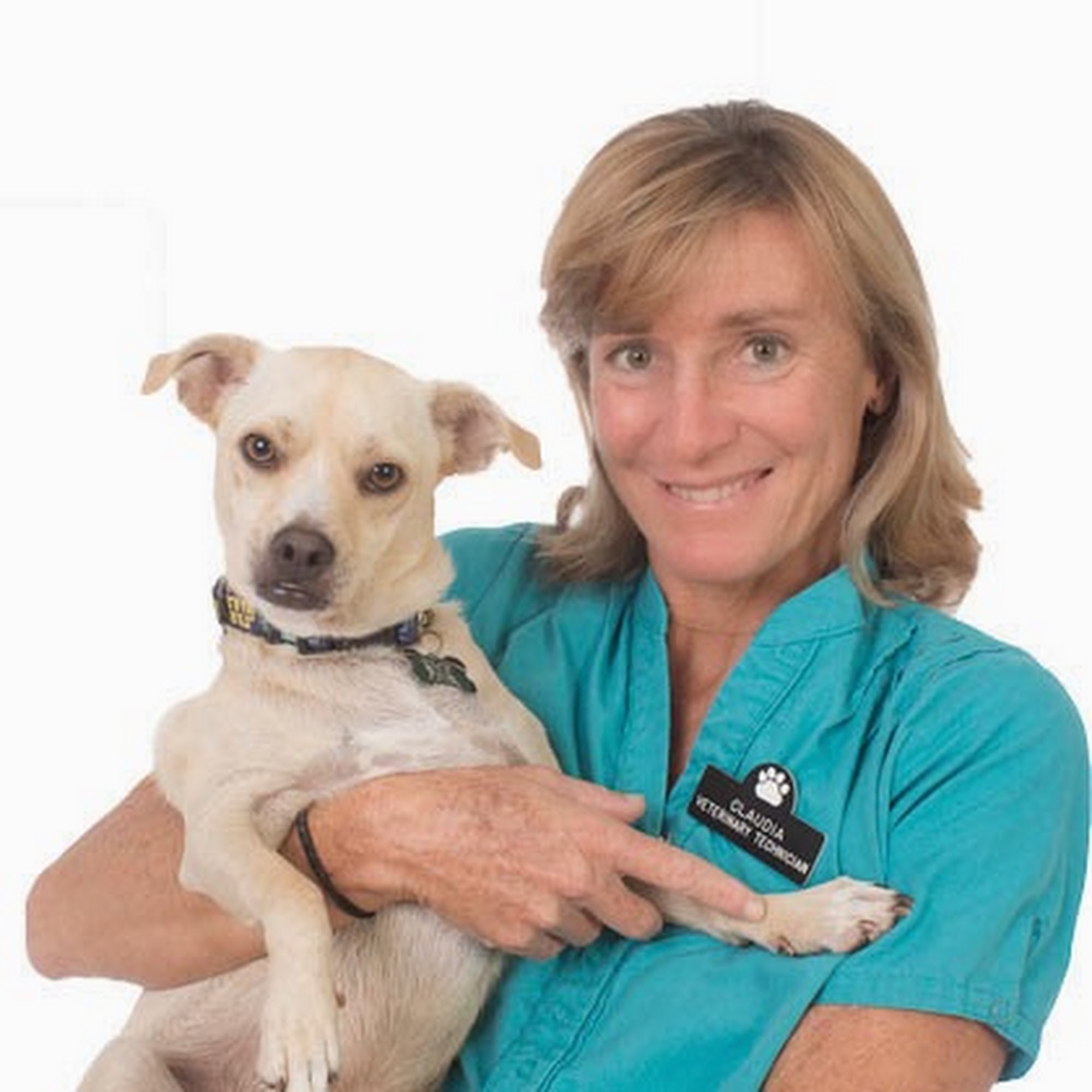 Surf Paws Animal Hospital Honolulu