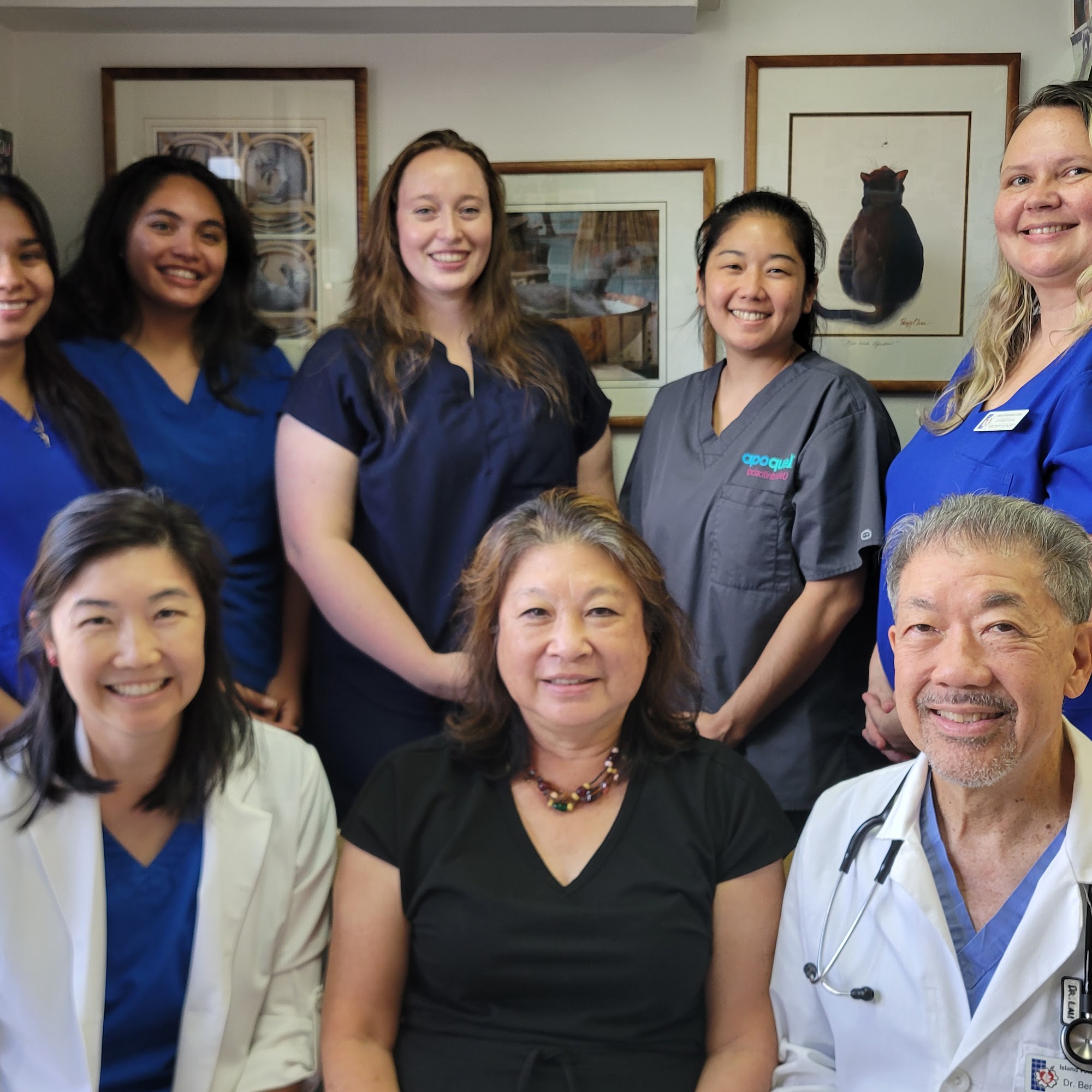 Island Veterinary Care Honolulu