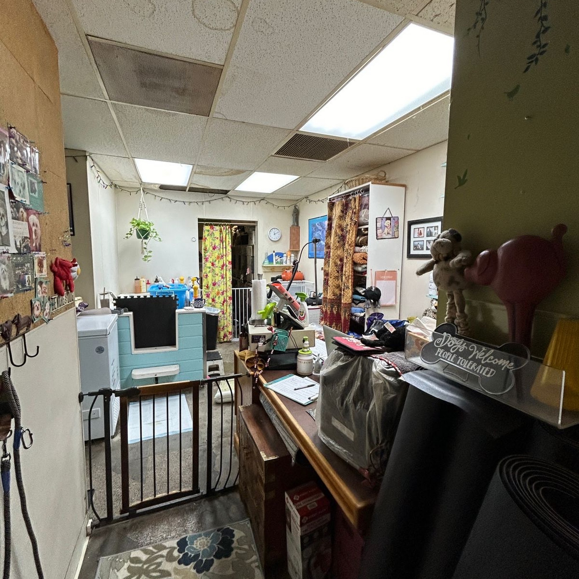 Yuppie Puppie Grooming Salon Honolulu