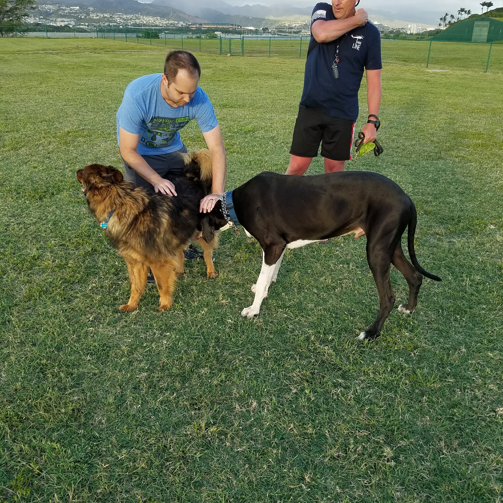 Ford Island Dog Park Honolulu