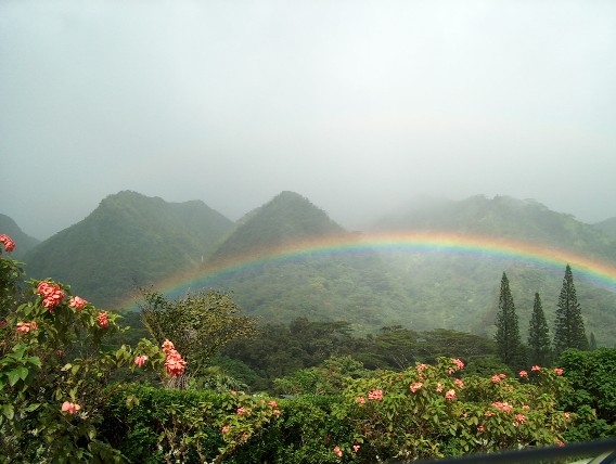 Stephen A. Tarek, DC