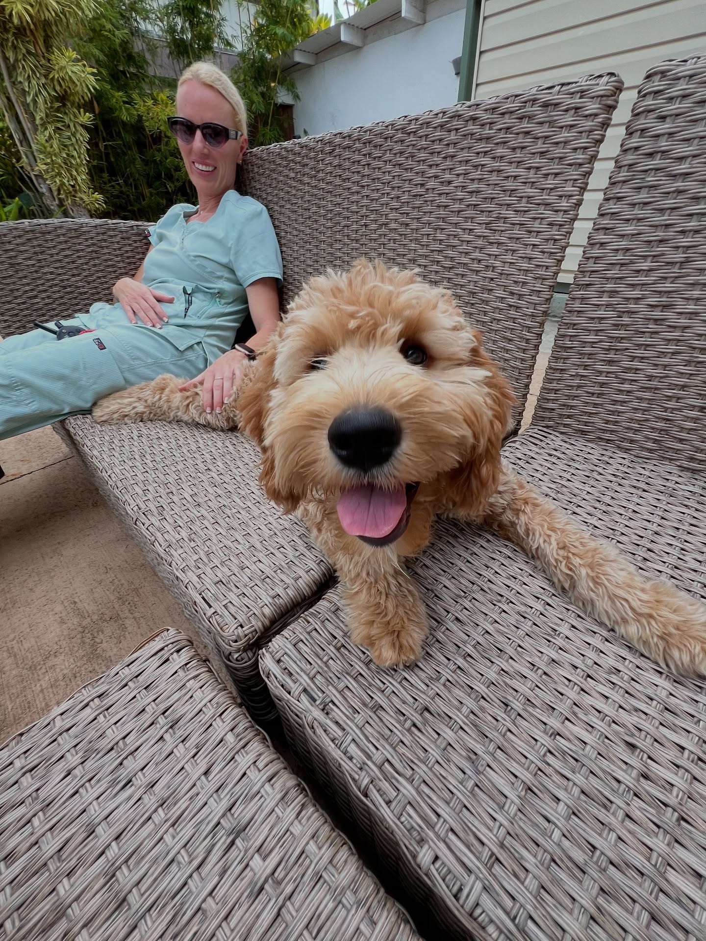 Island Dog Obedience Honolulu