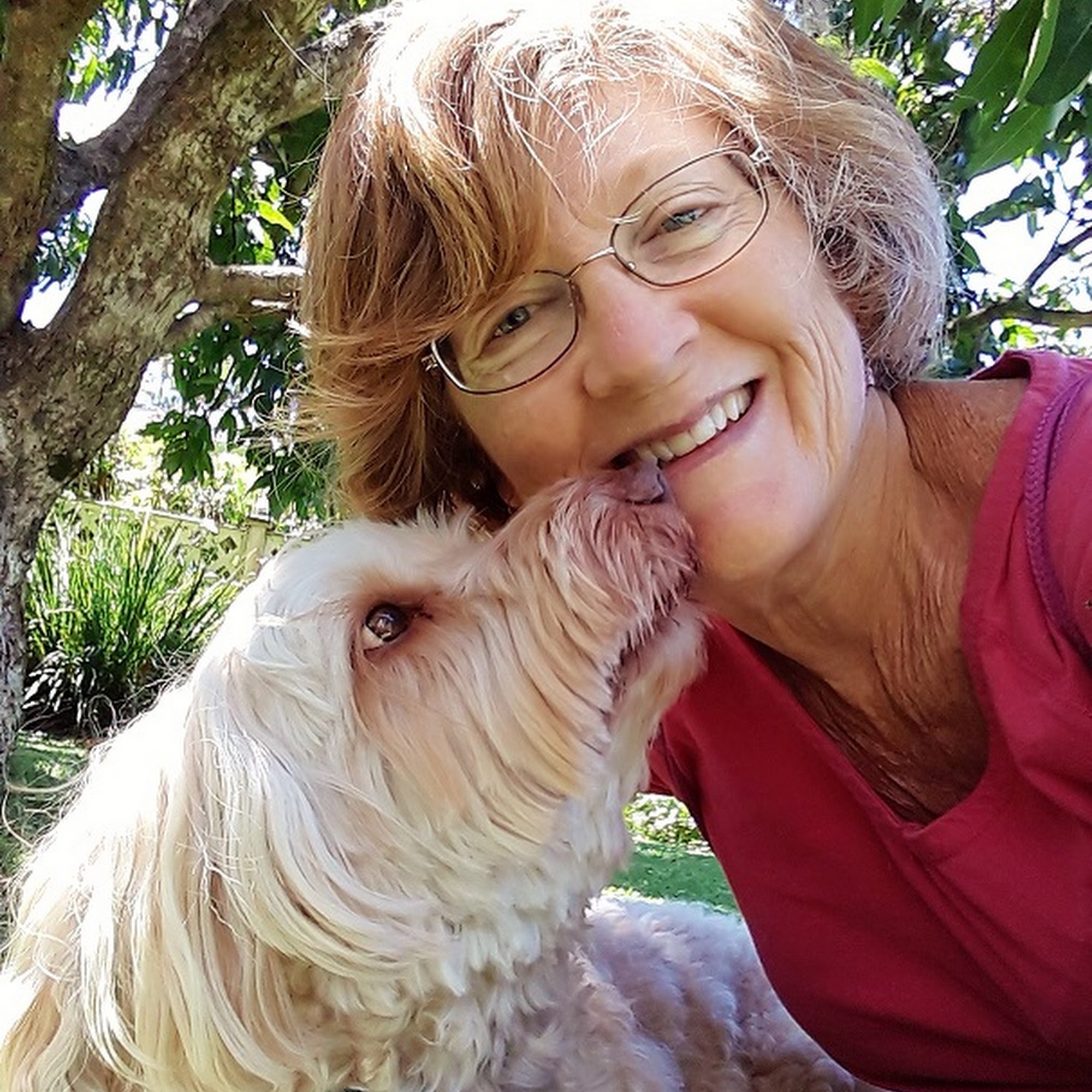 Waikiki Wags LLC Honolulu