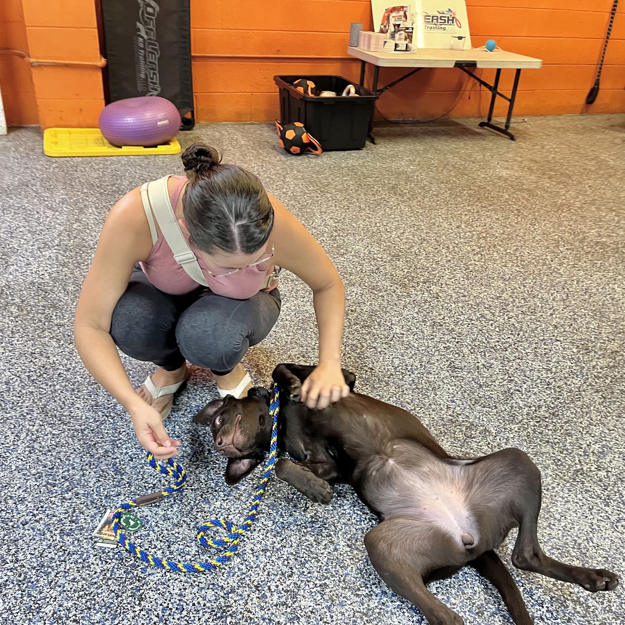 OLK9 HAWAII Honolulu