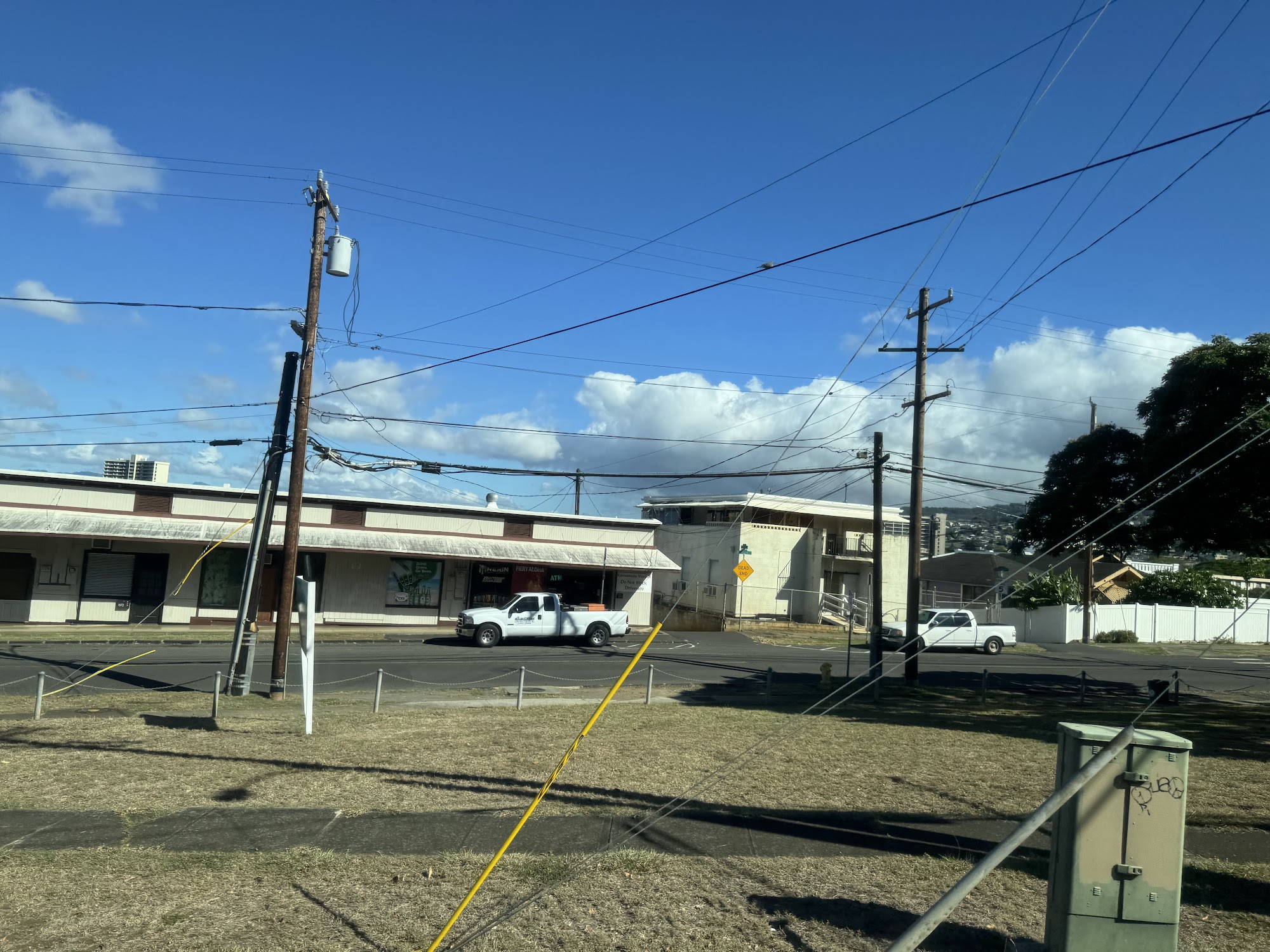 Aloha Cat Hotel Honolulu