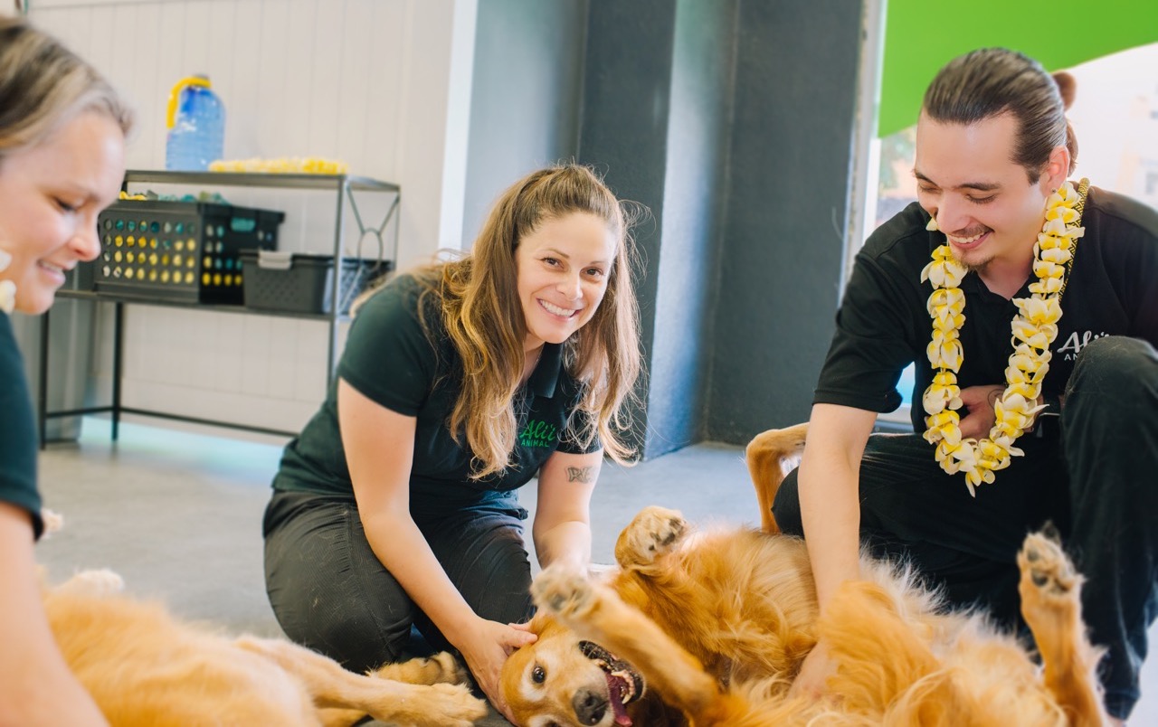 Alii Animal Unleashed Honolulu