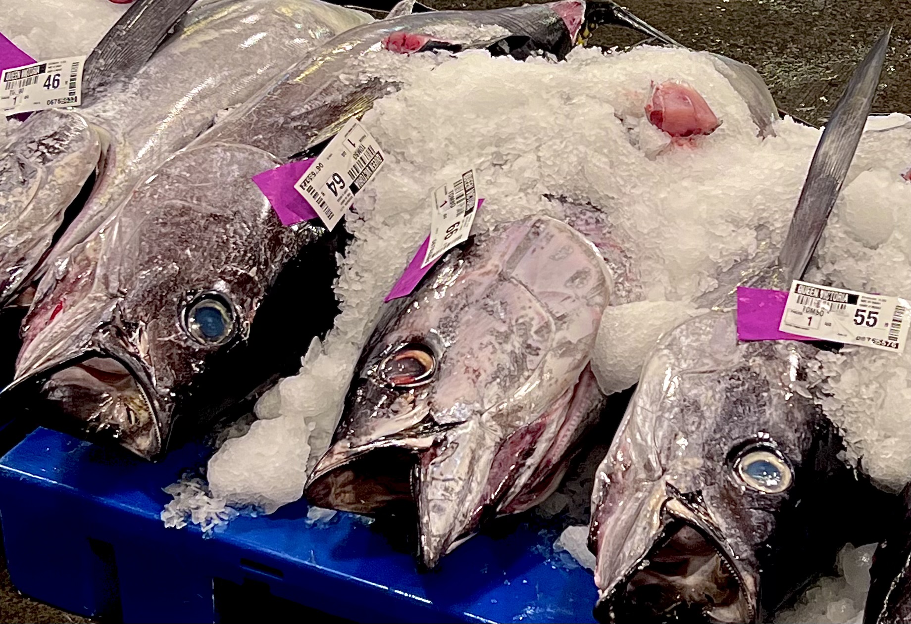 Hawaii Seafood Council Honolulu