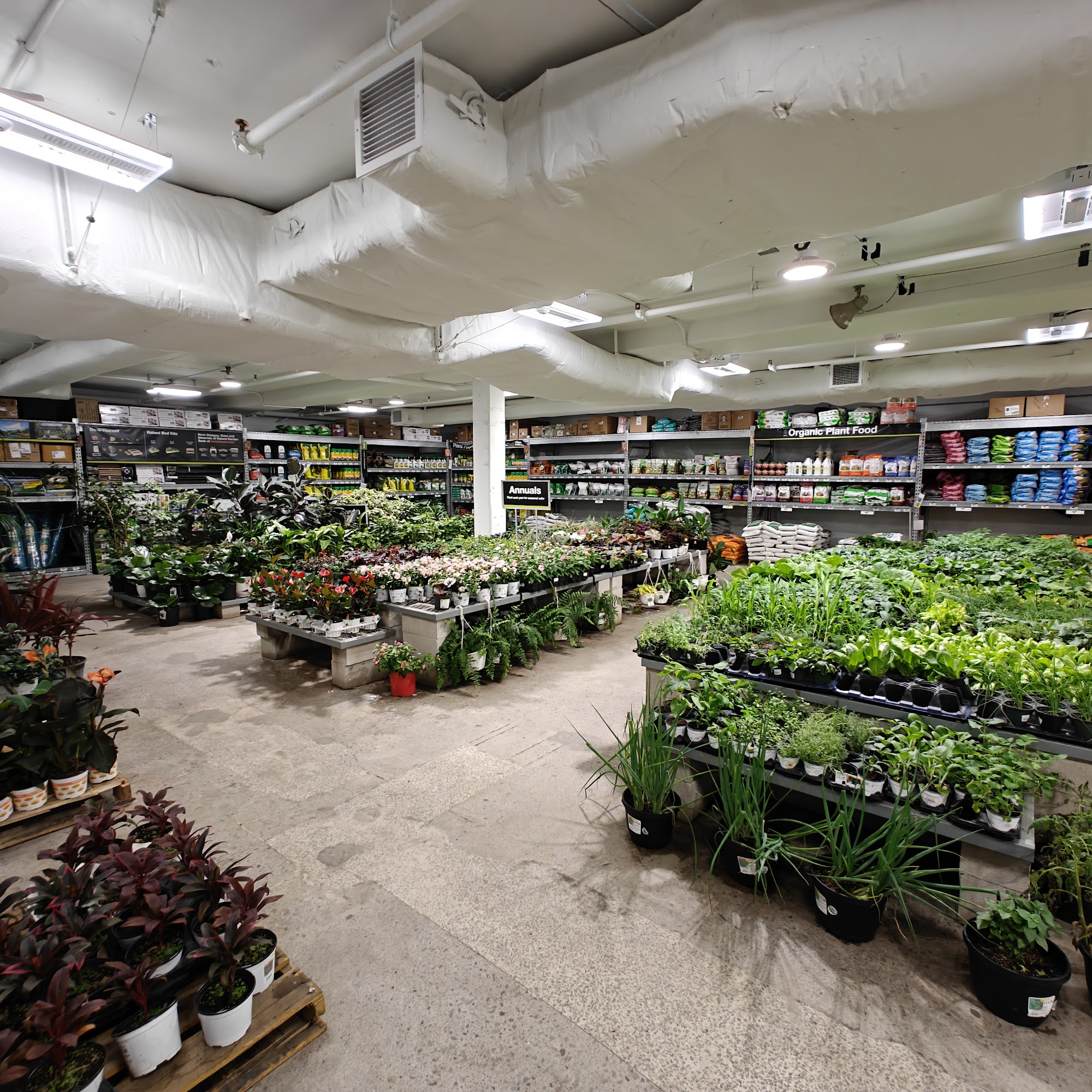 The Home Depot Honolulu