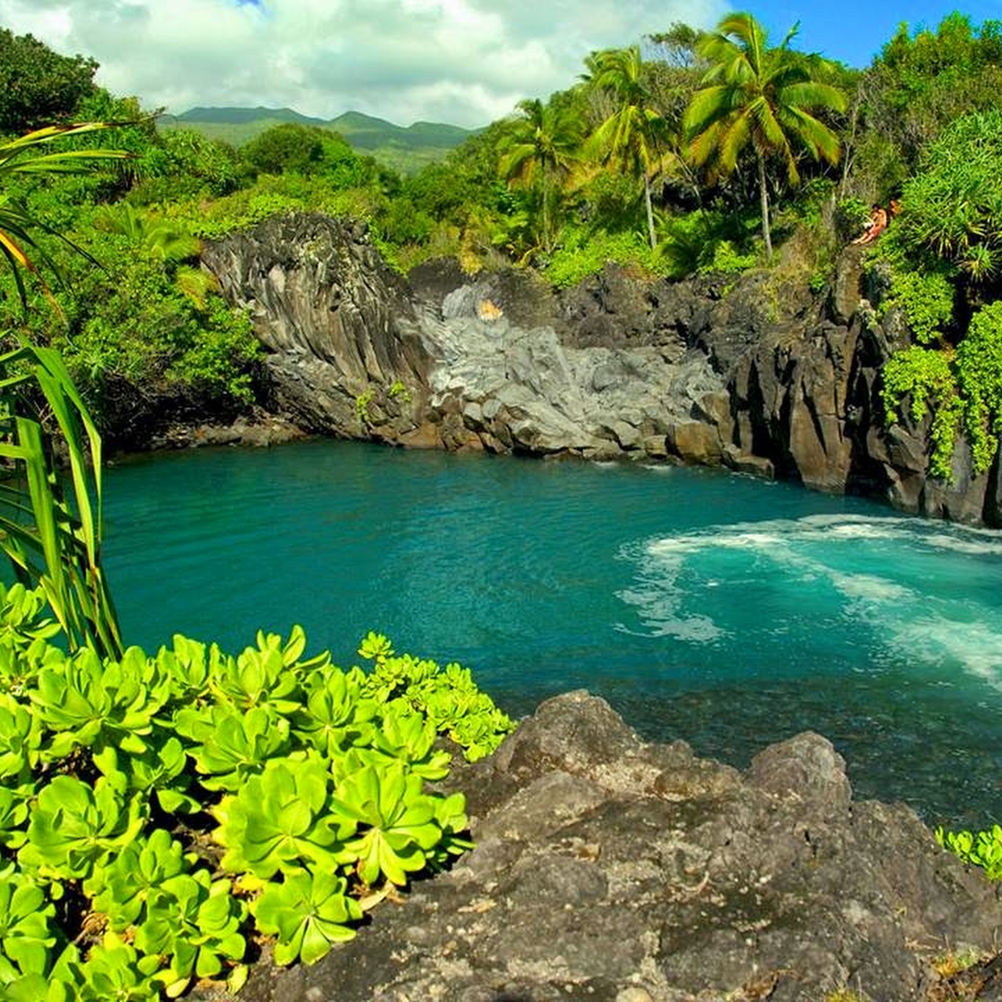 Manakai O Malama