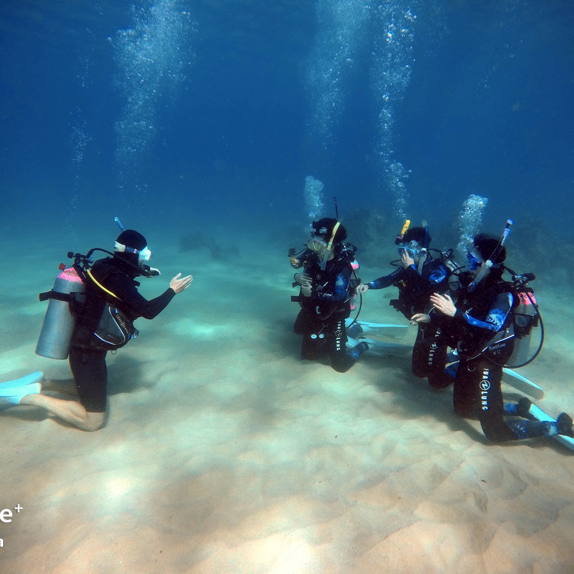 Sunshine Scuba 642 Cooke St, Honolulu Hawaii 96813