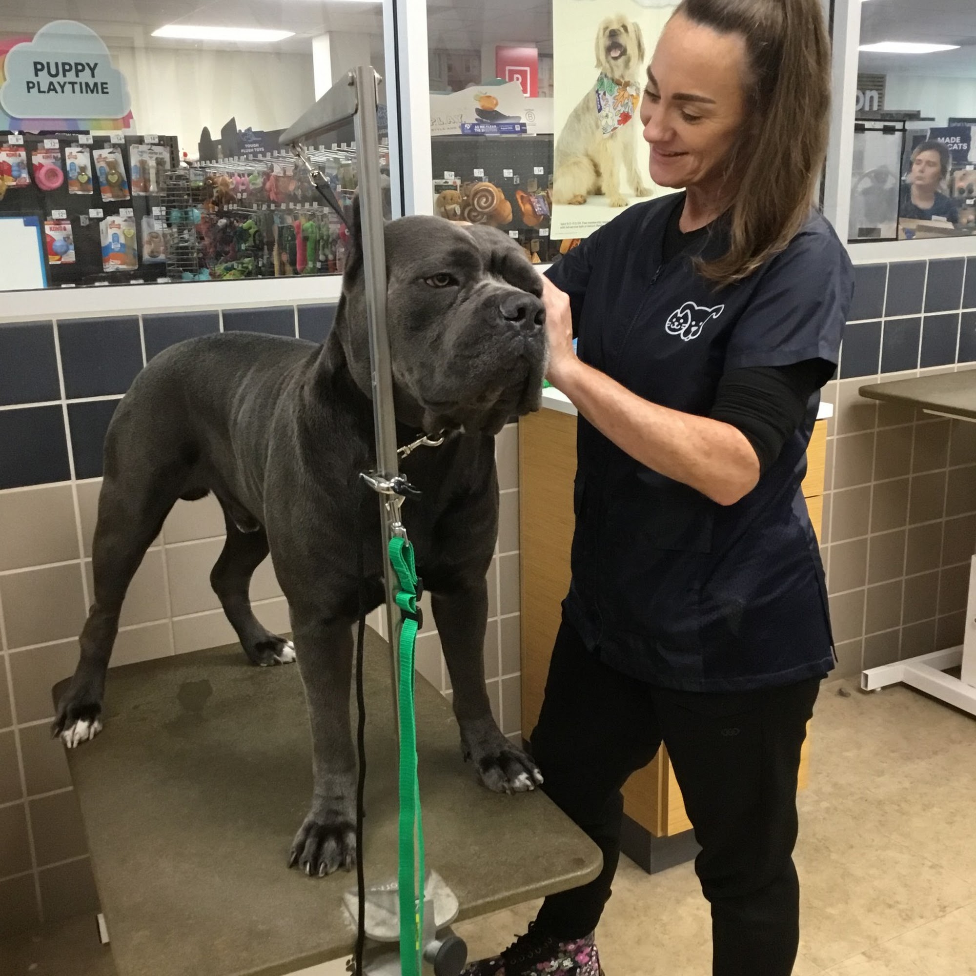 Petco Grooming