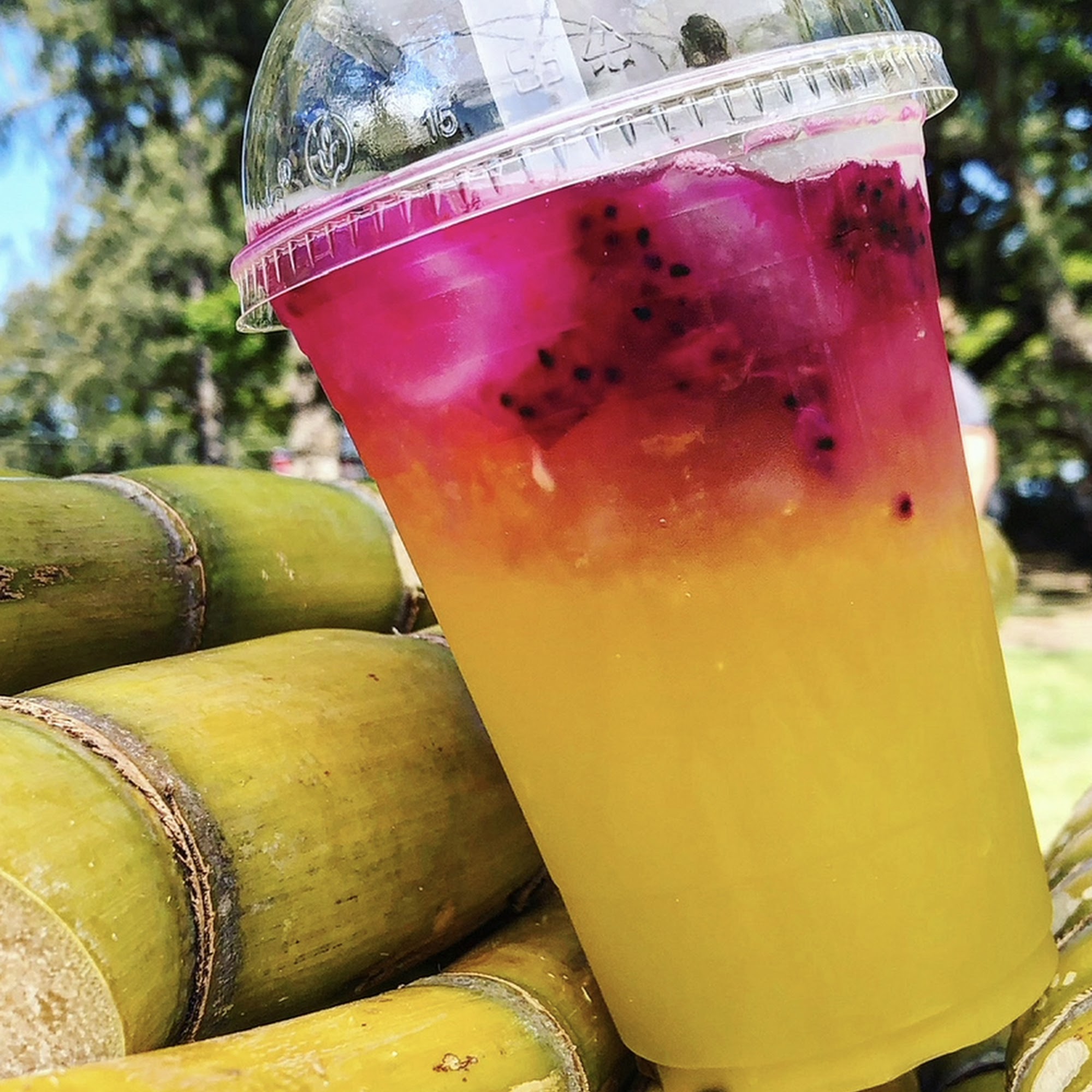 Sugah Daddeh's Kane Juice Kahuku