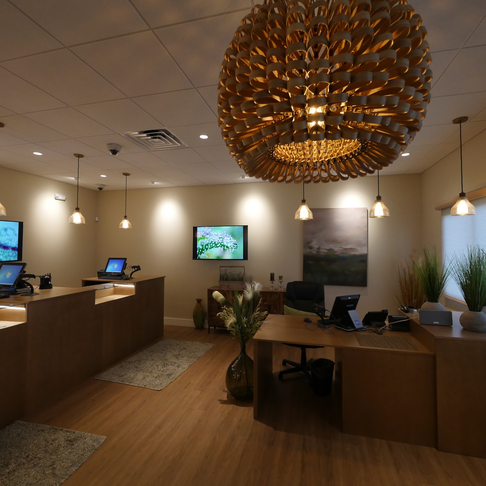 Maui Grown Therapies Kahului