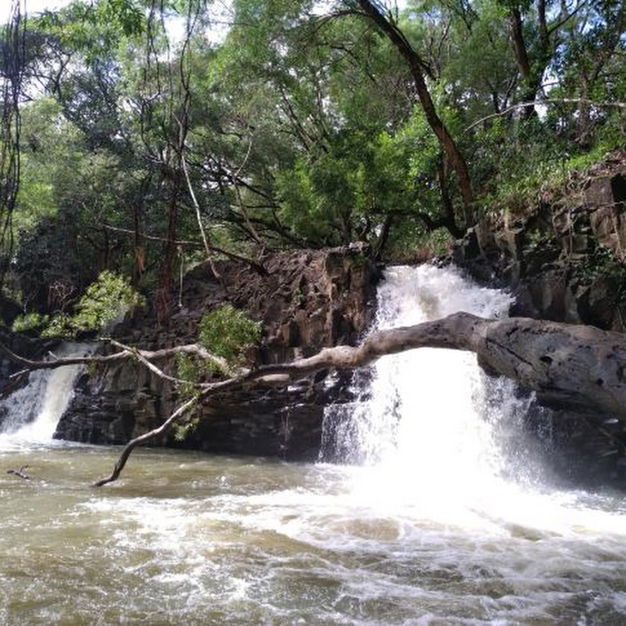 Hawaiian Scooters Kahului