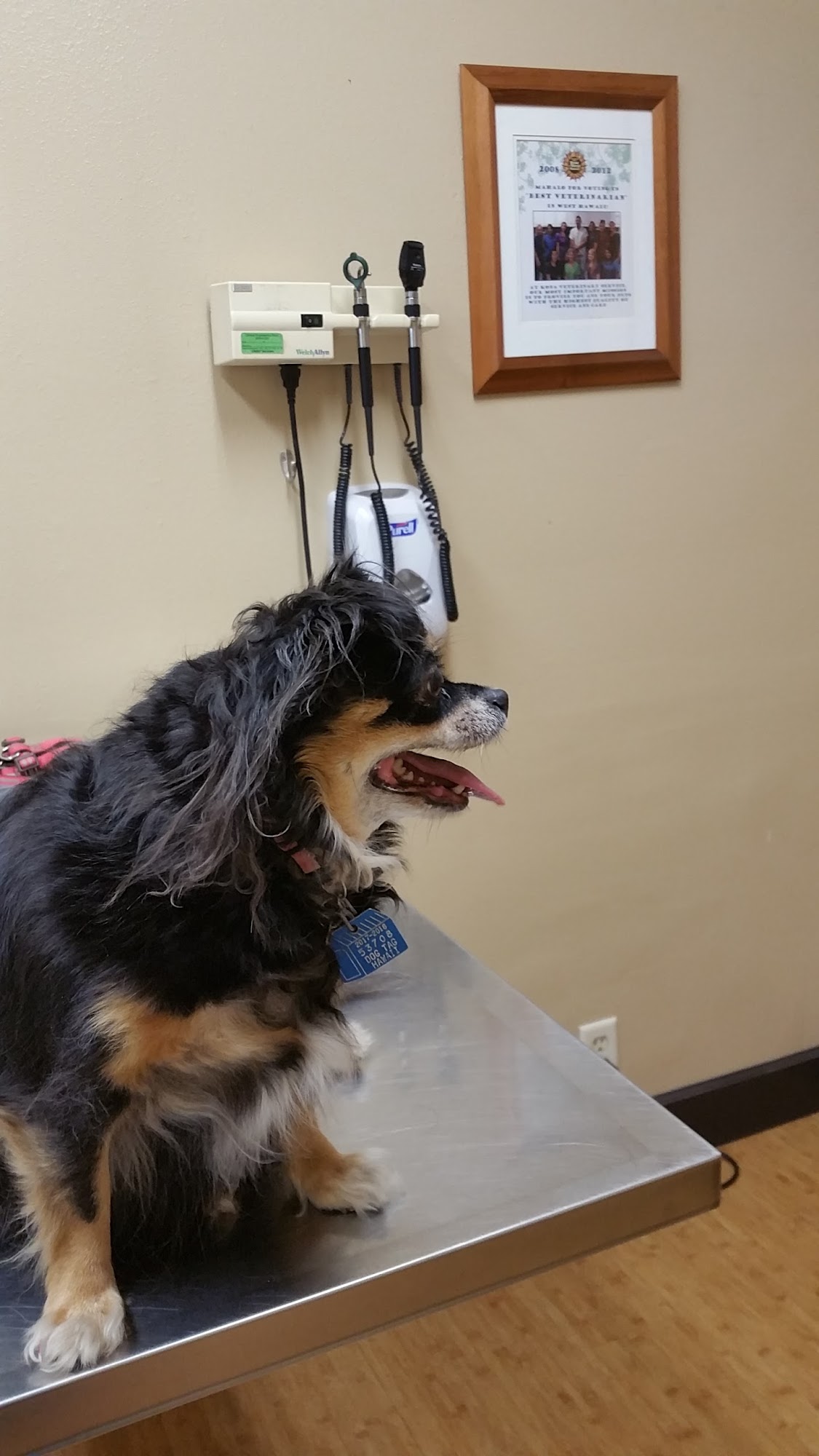 Kona Veterinary Service Kailua-Kona