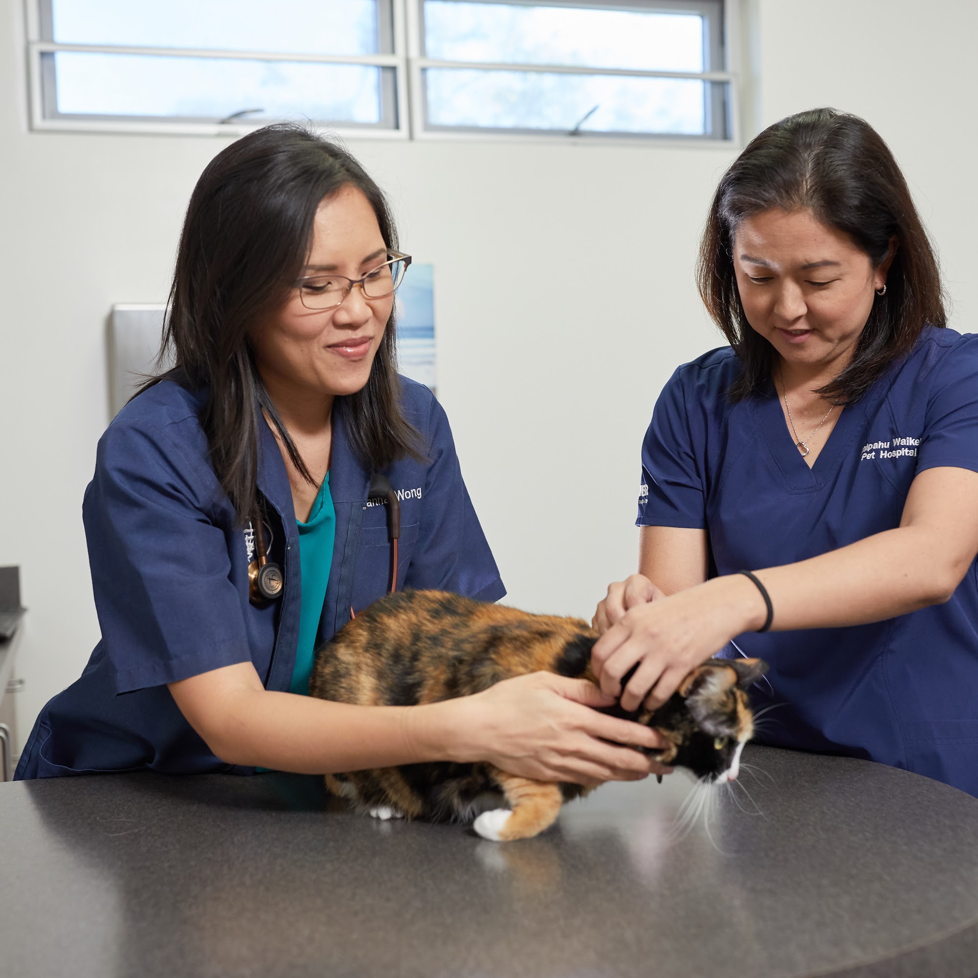 Makai Pet Hospital Kailua
