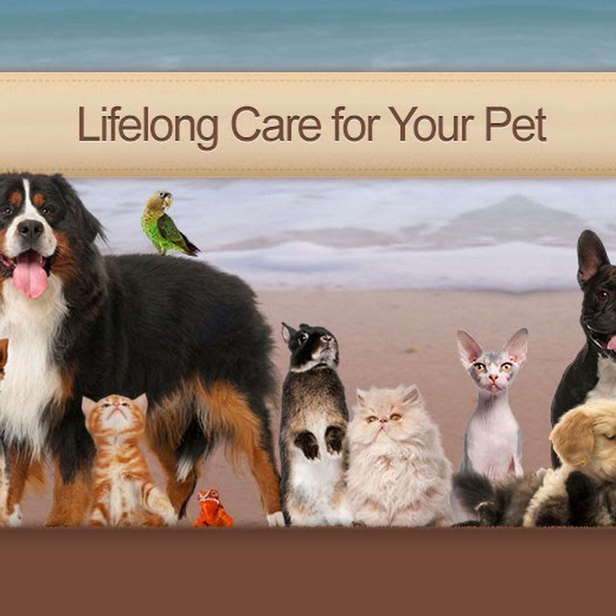 Haiku Veterinary Clinic Kaneohe