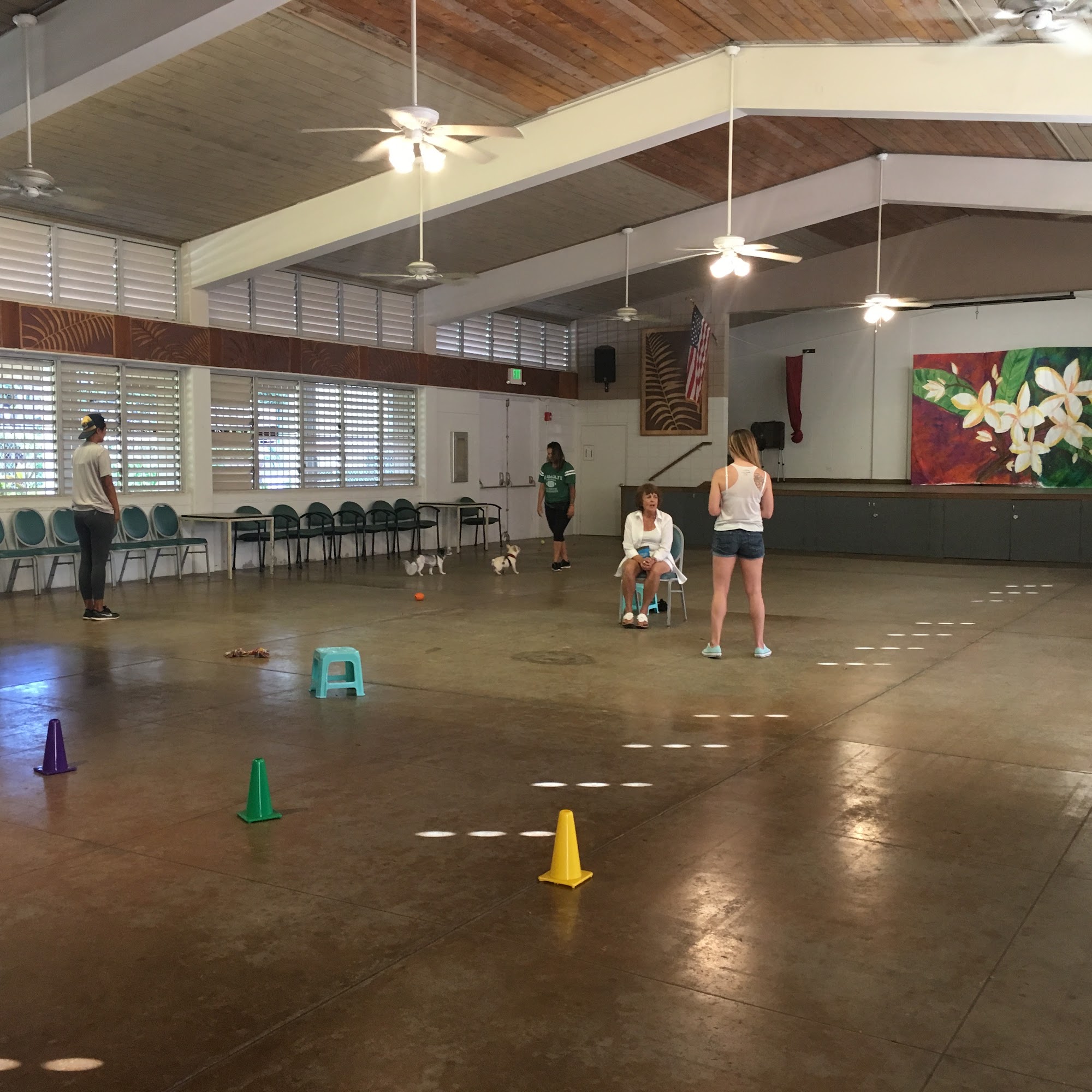 Pro-Dog Hawaii Kaneohe