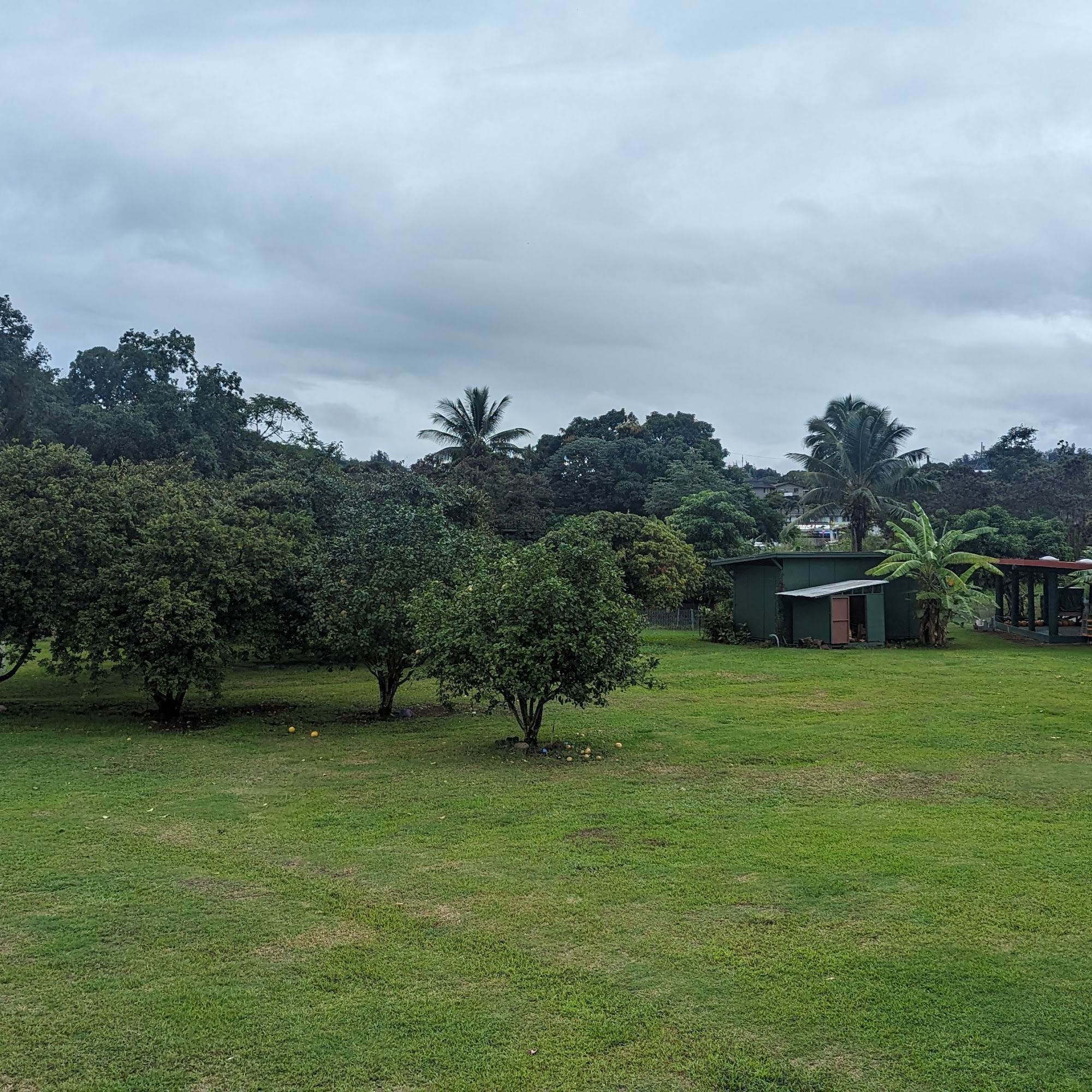Pu’uhonua Farms Kaneohe