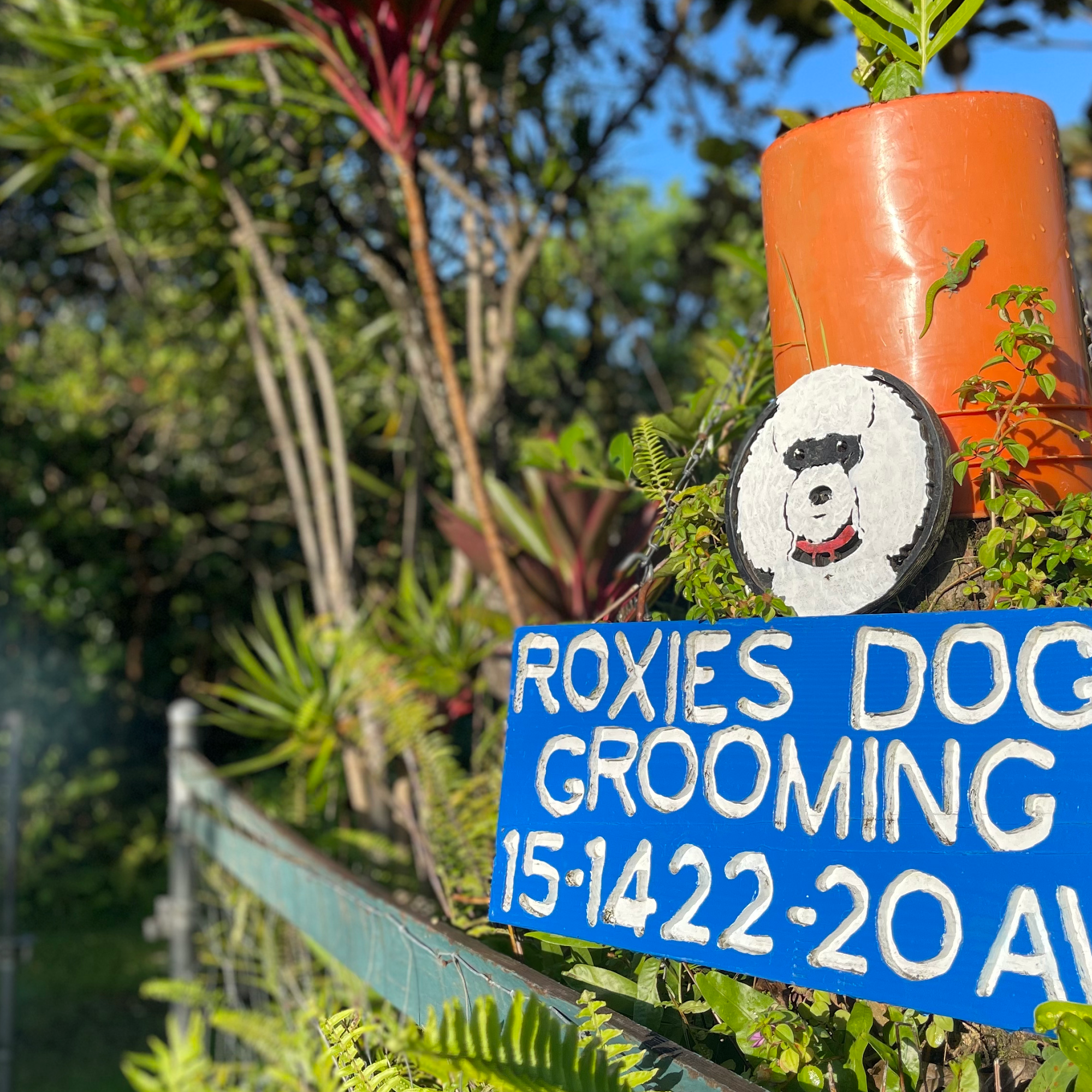Roxie's Dog Grooming Keaau
