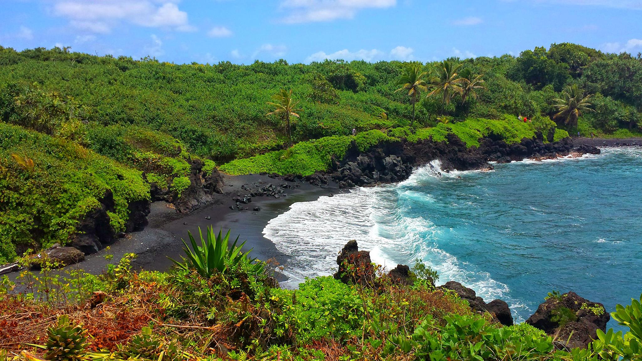 George M.Martin, MD Inc