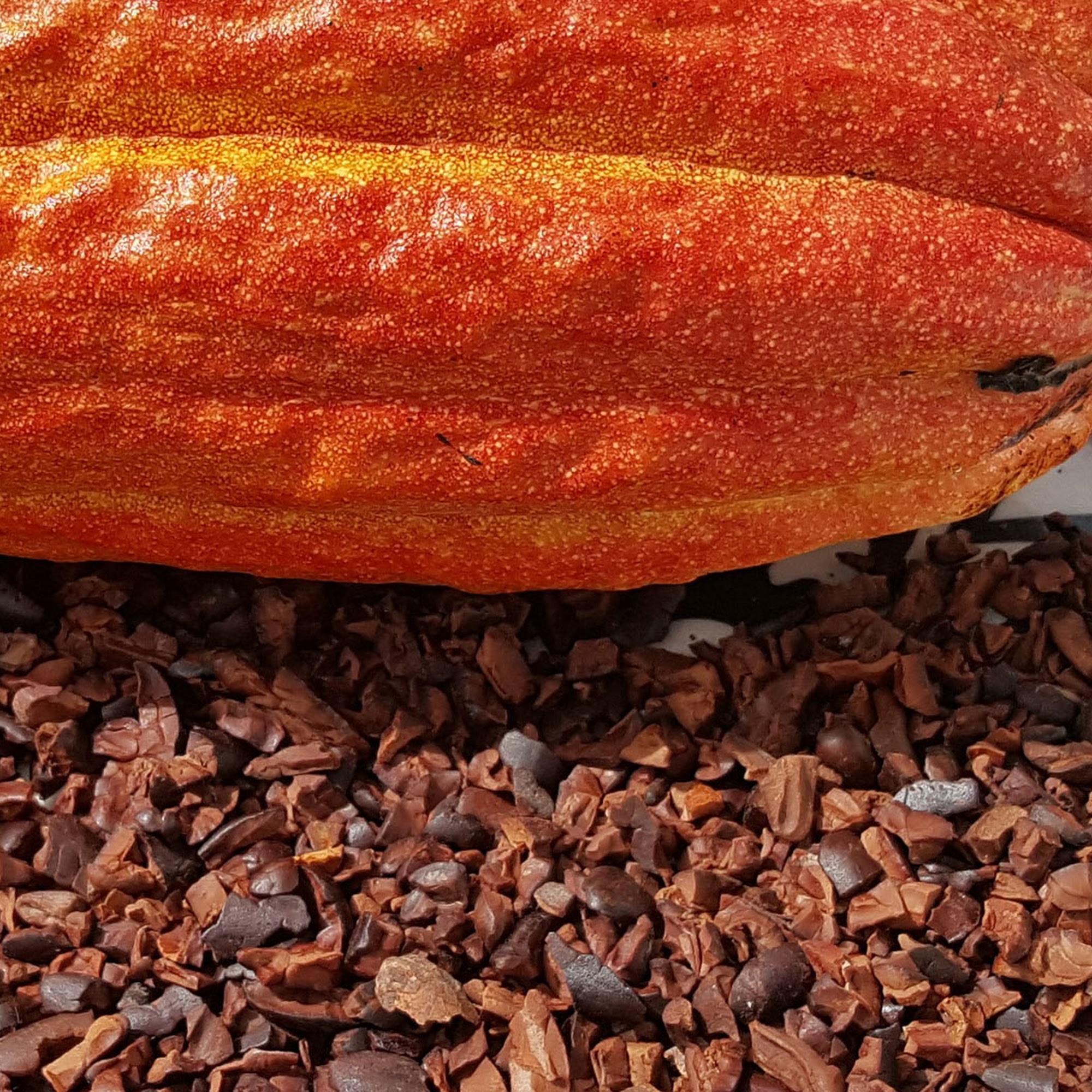 Maui Chocolate Coffee Tours Kula