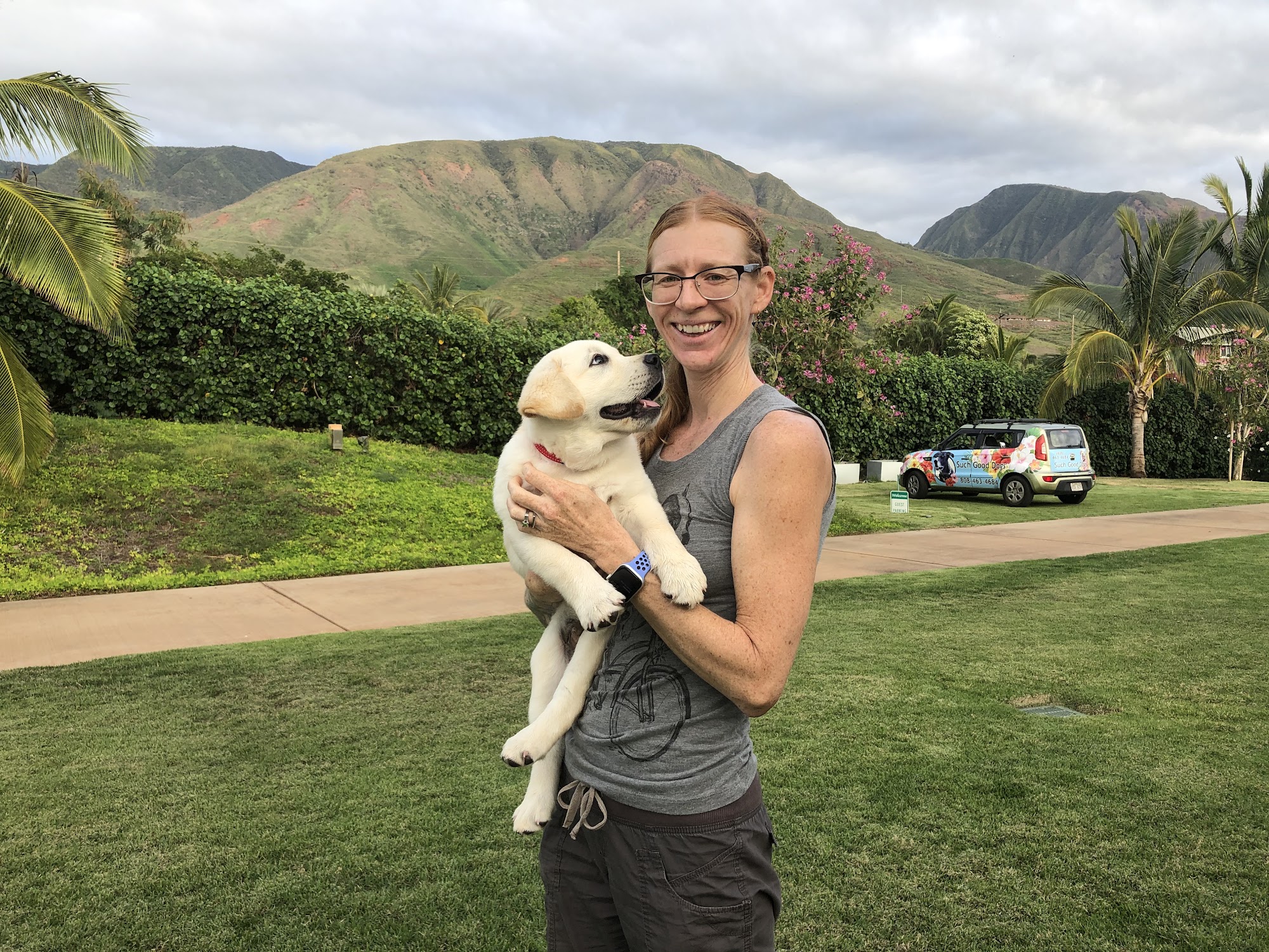 Such Good Dogs Lahaina