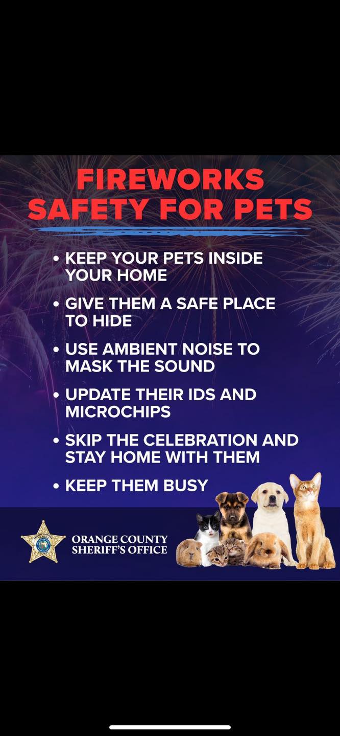 Bark! Bark! Backyard Lihue